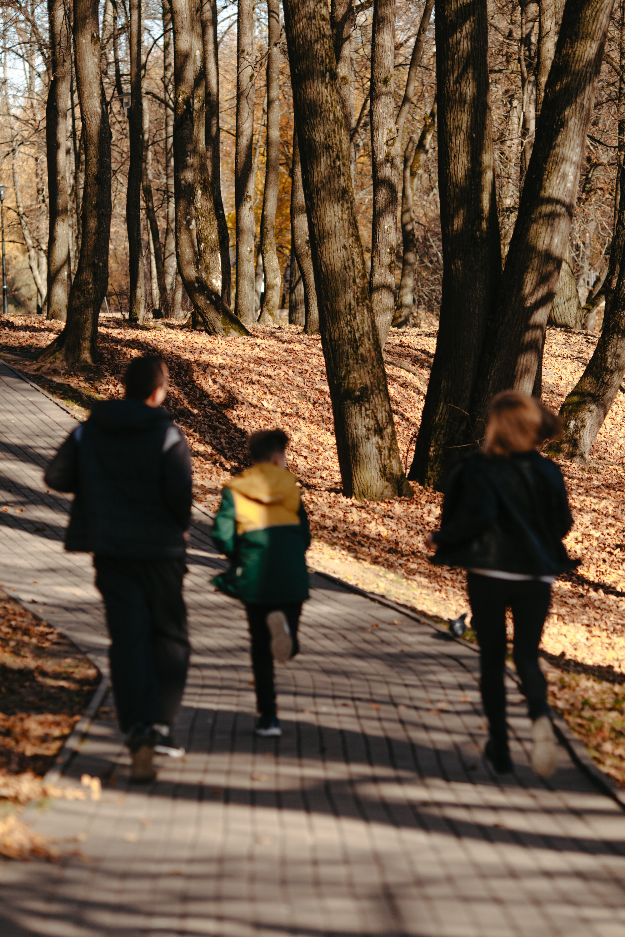 Семейная прогулка. Фотограф Сергиев Посад Москва Хованская Екатерина