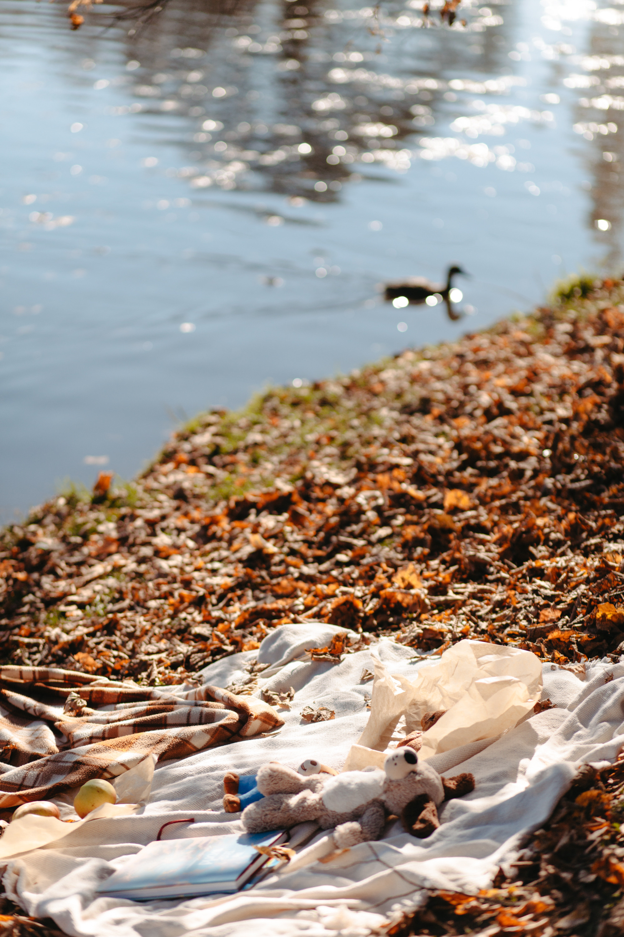 Юля и Родион. Фотограф Сергиев Посад Москва Хованская Екатерина