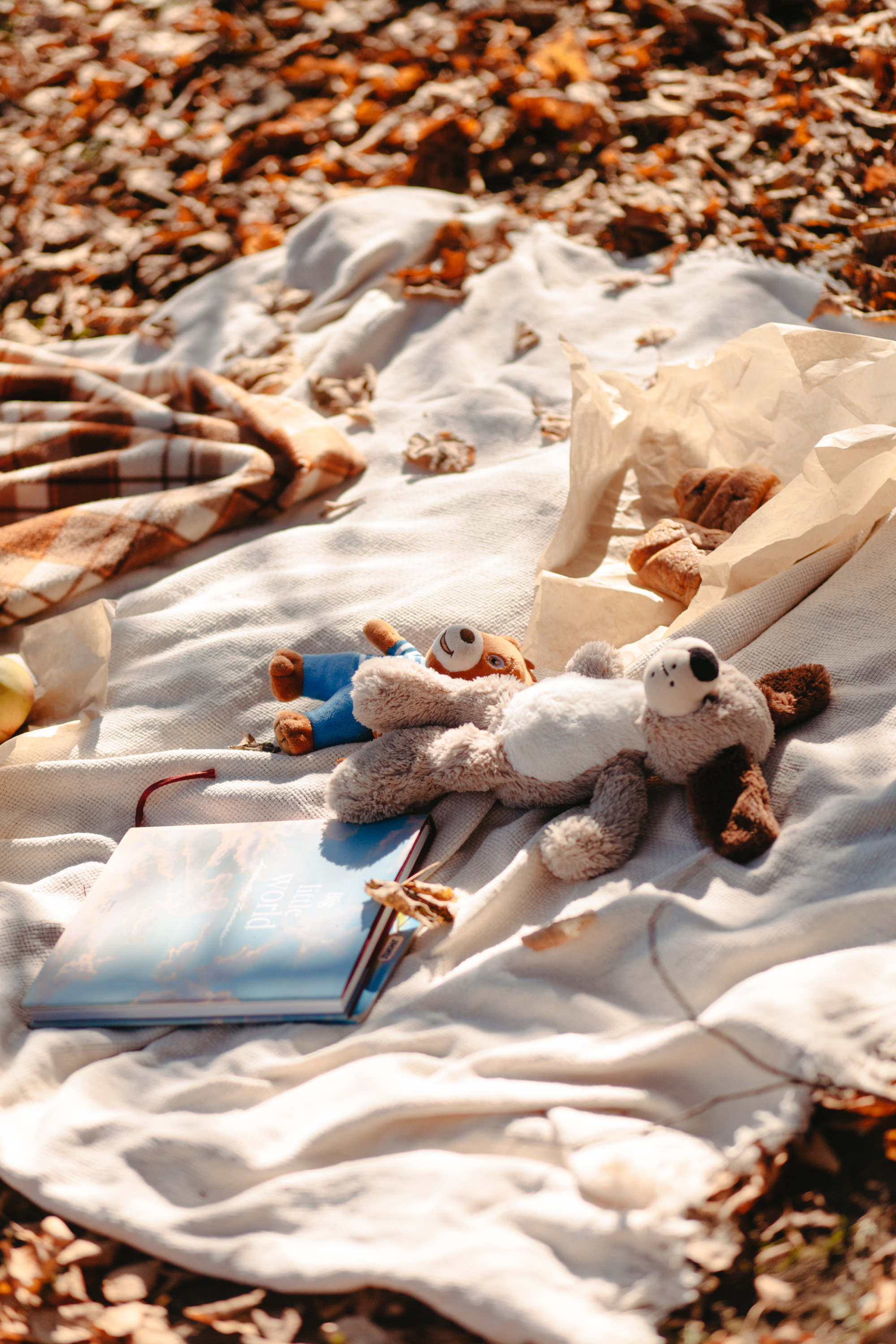 Юля и Родион. Фотограф Сергиев Посад Москва Хованская Екатерина