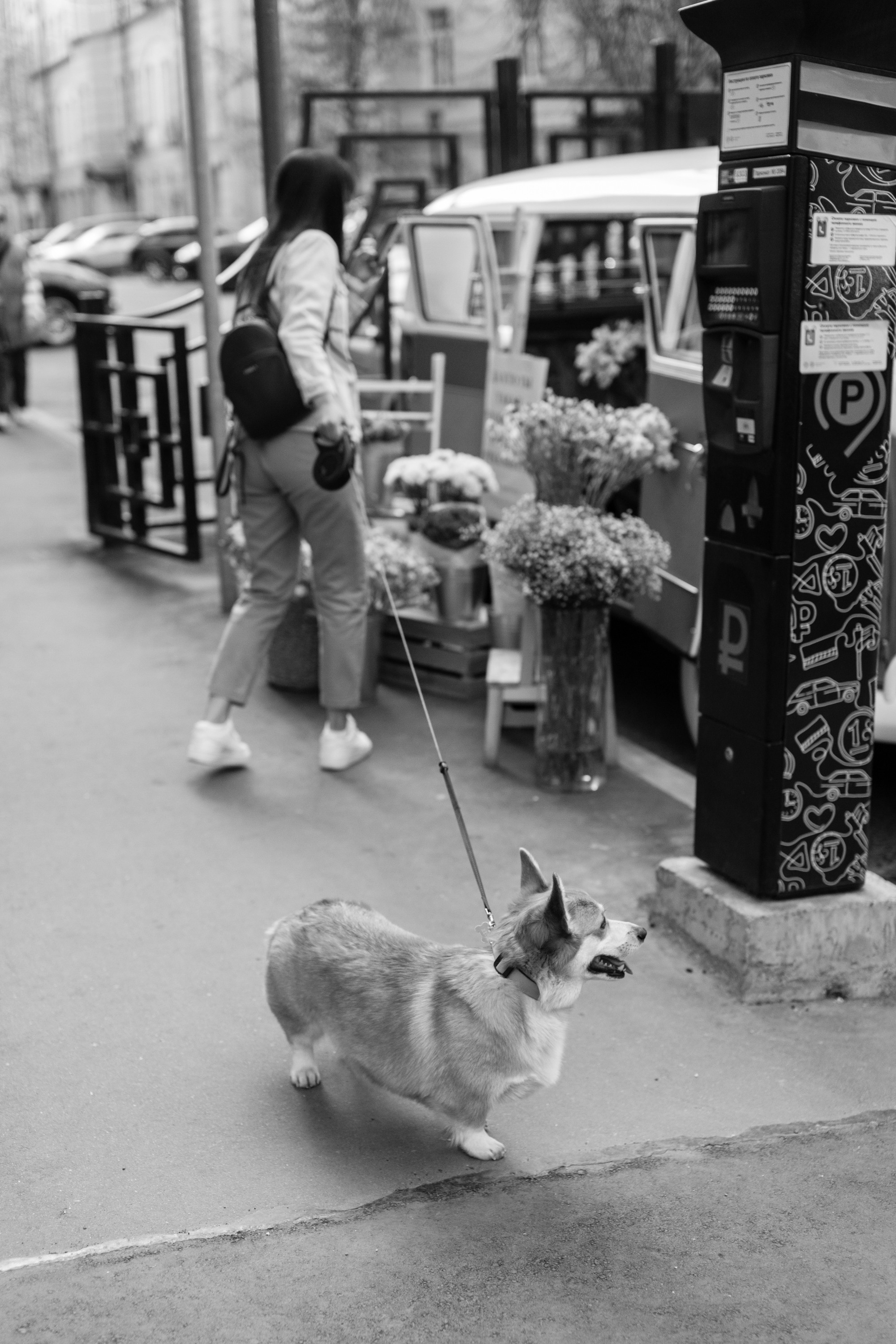 Наташа. Фотограф Сергиев Посад Москва Хованская Екатерина