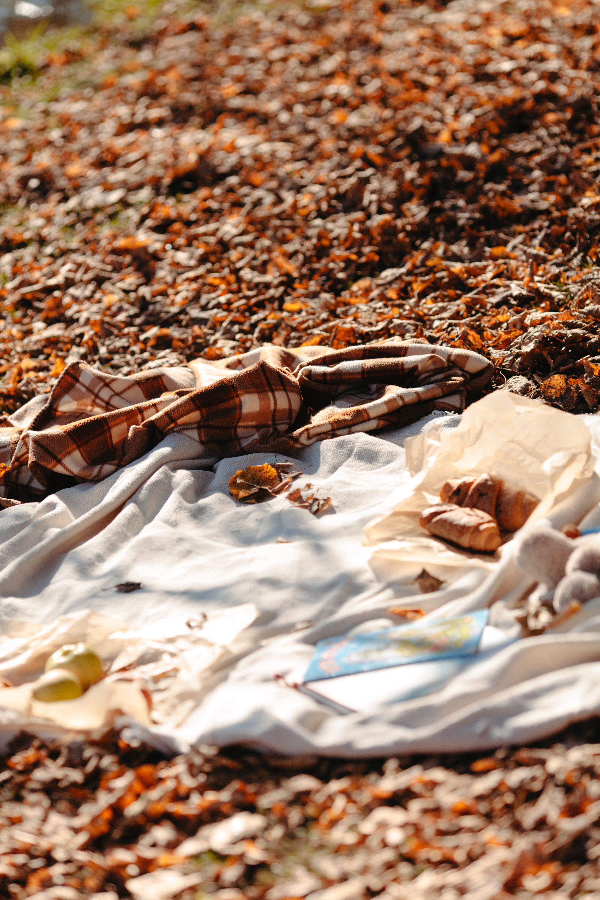 Юля и Родион. Фотограф Сергиев Посад Москва Хованская Екатерина