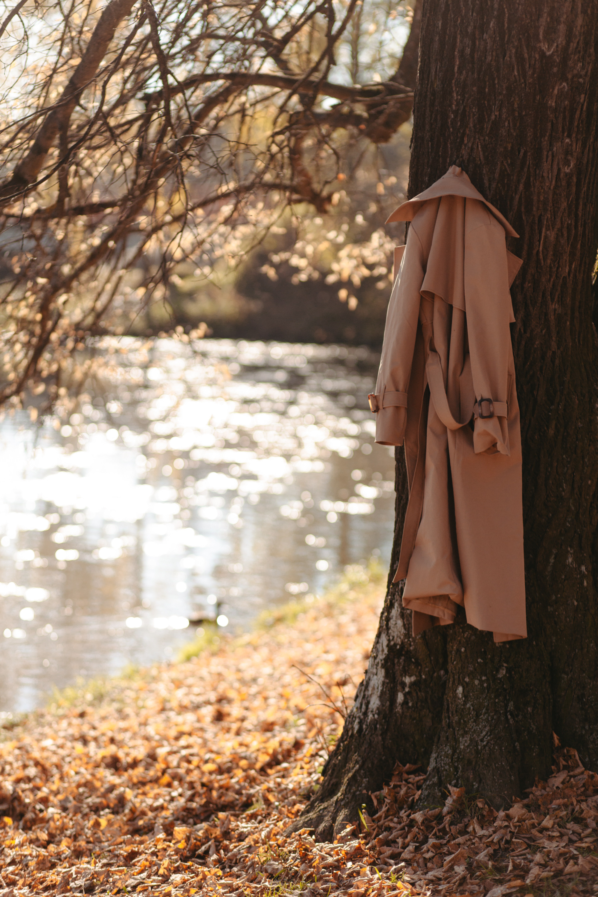 Юля и Родион. Фотограф Сергиев Посад Москва Хованская Екатерина