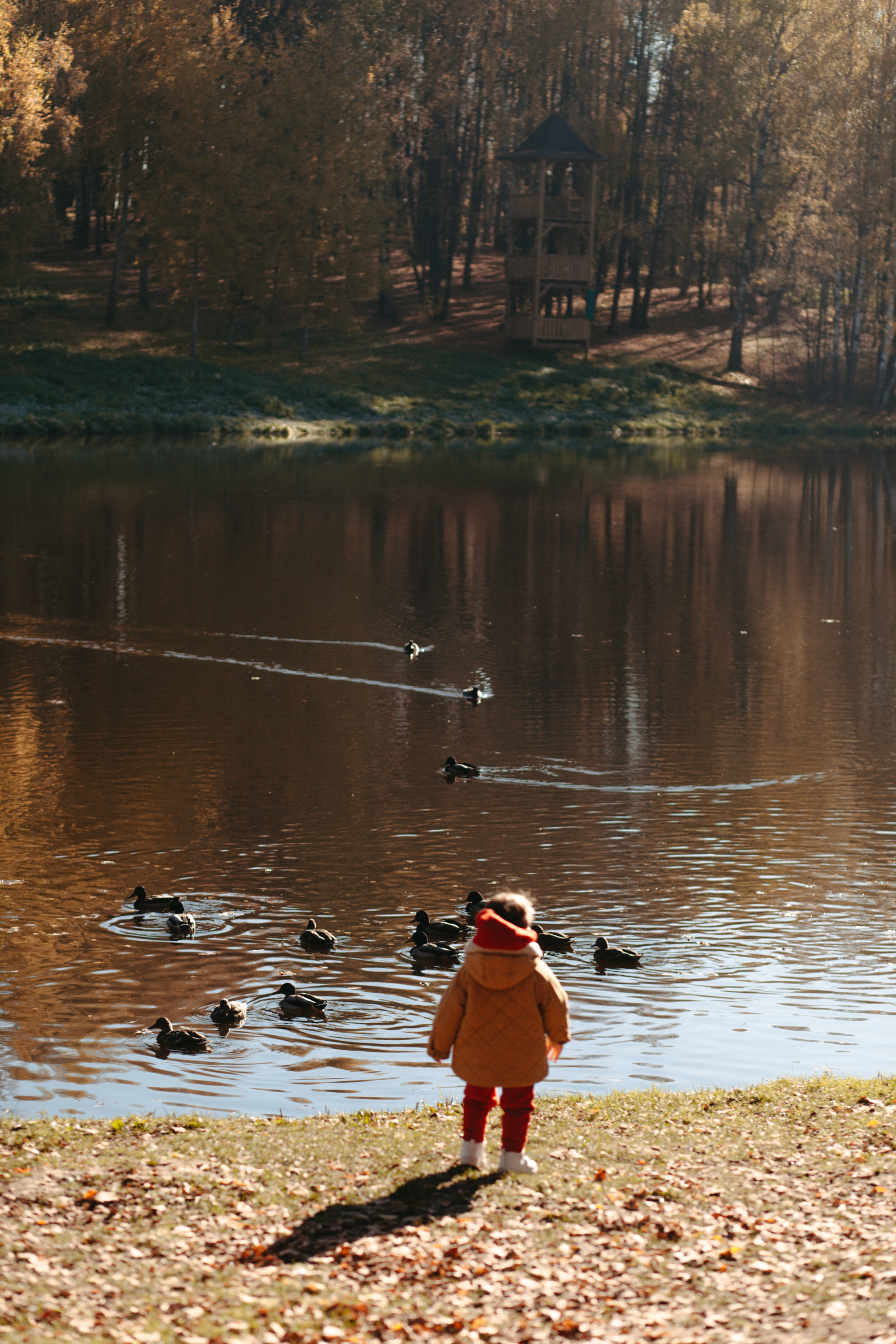 Юля и Родион. Фотограф Сергиев Посад Москва Хованская Екатерина