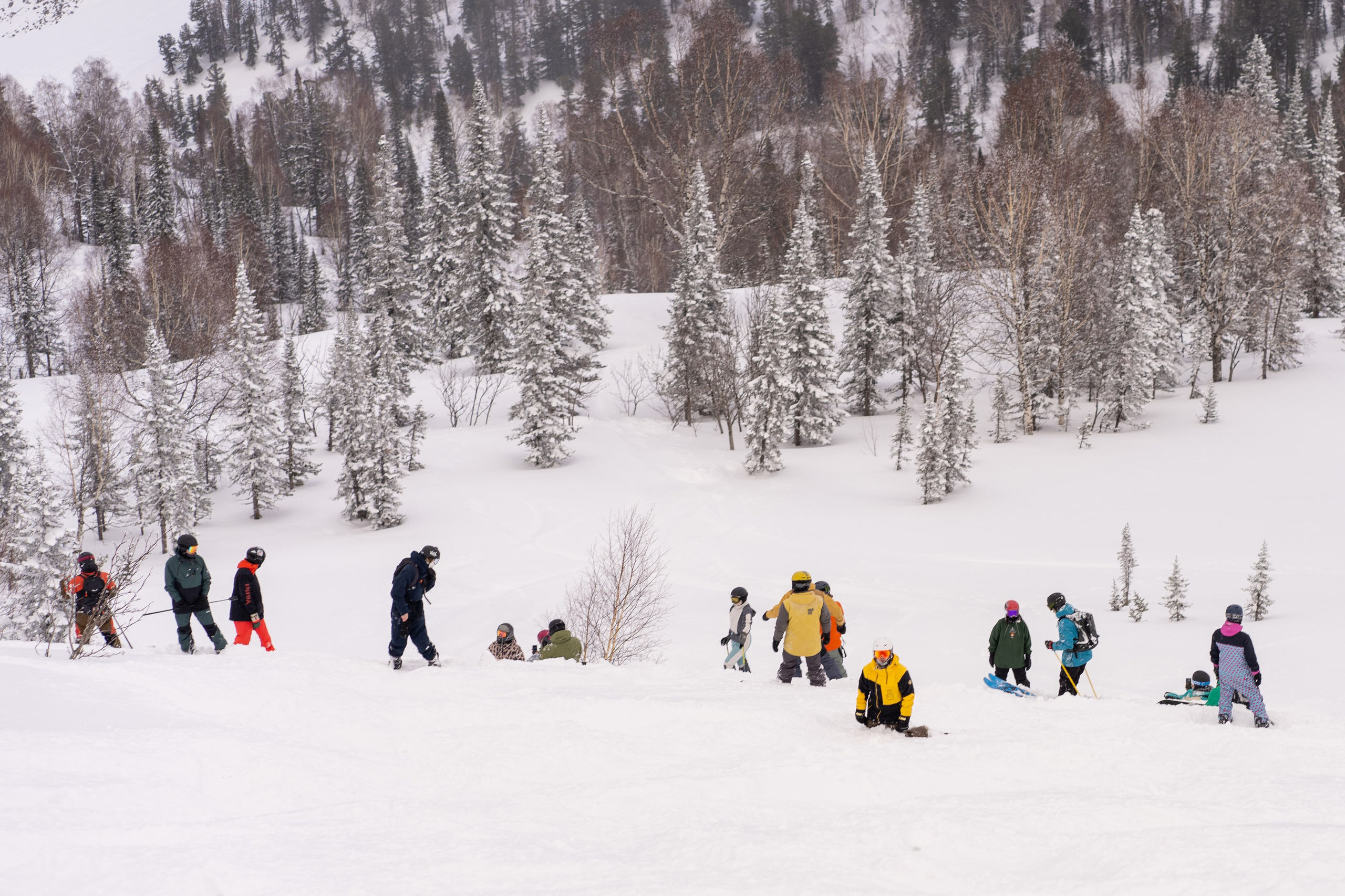 Фрирайд. Анастасия Паршукова — фотограф Шерегеш Новосибирск
