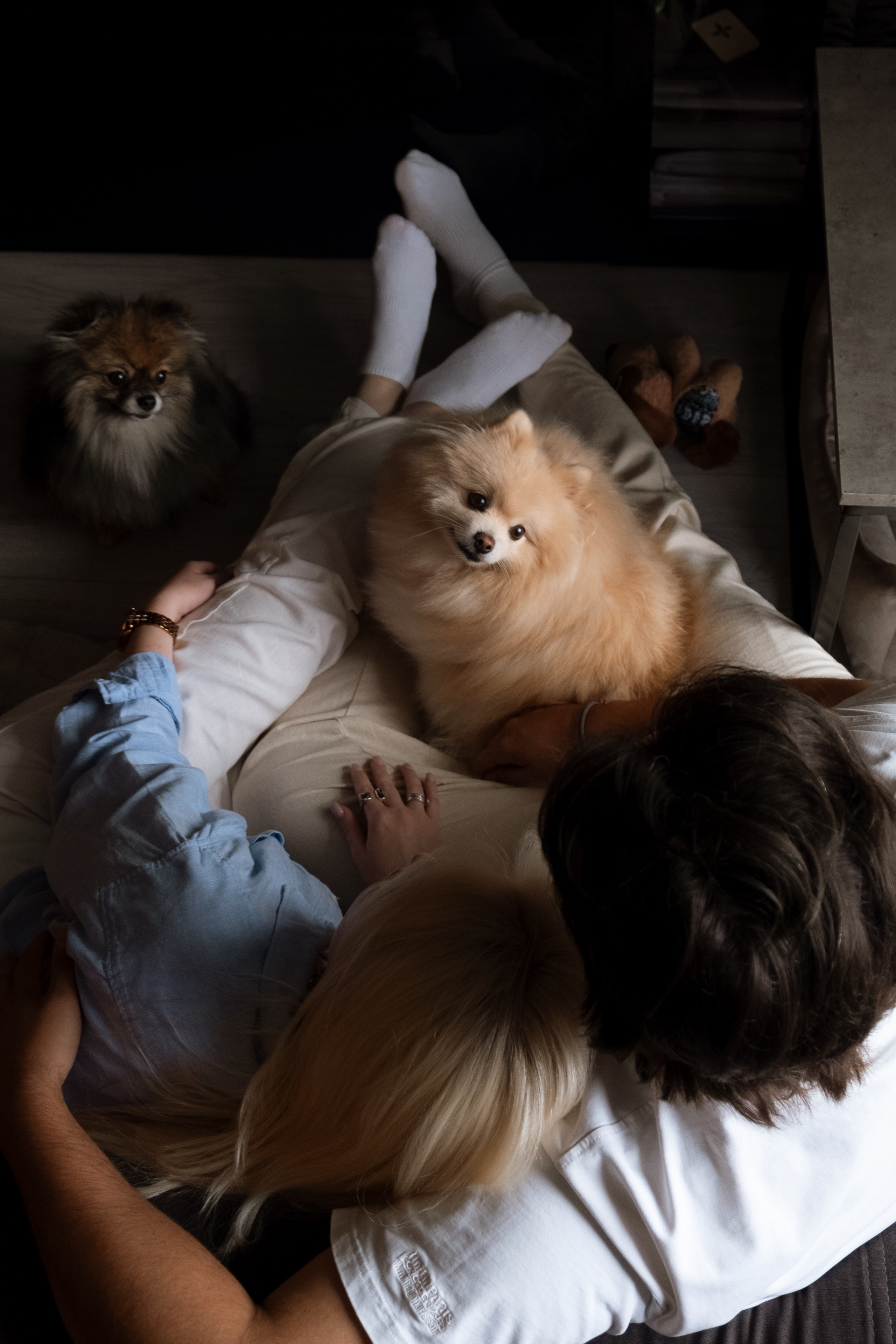 Animalism. Nataresso | фотограф Москва