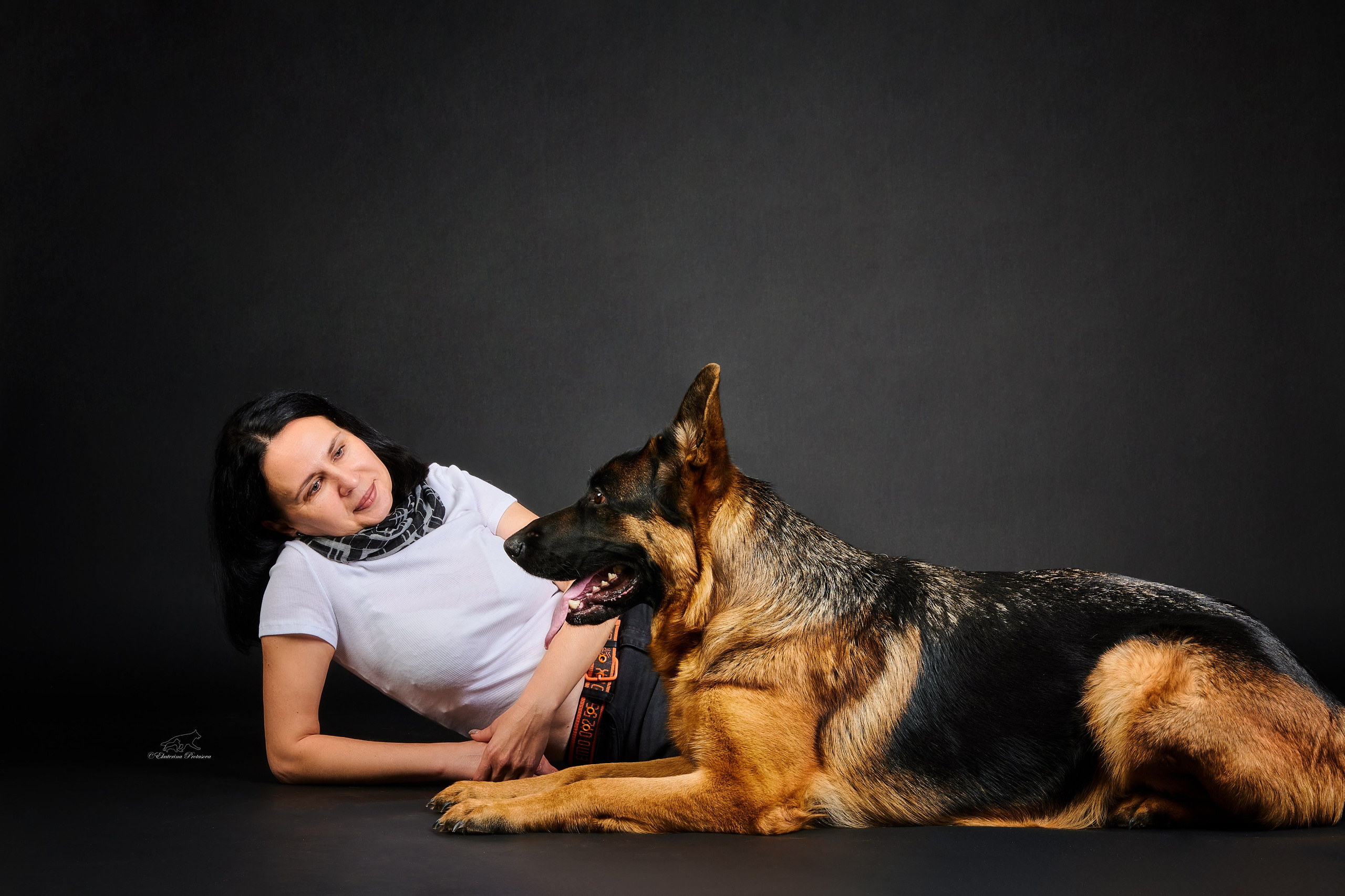Немецкая овчарка Роми. Фотограф-анималист в Иркутске