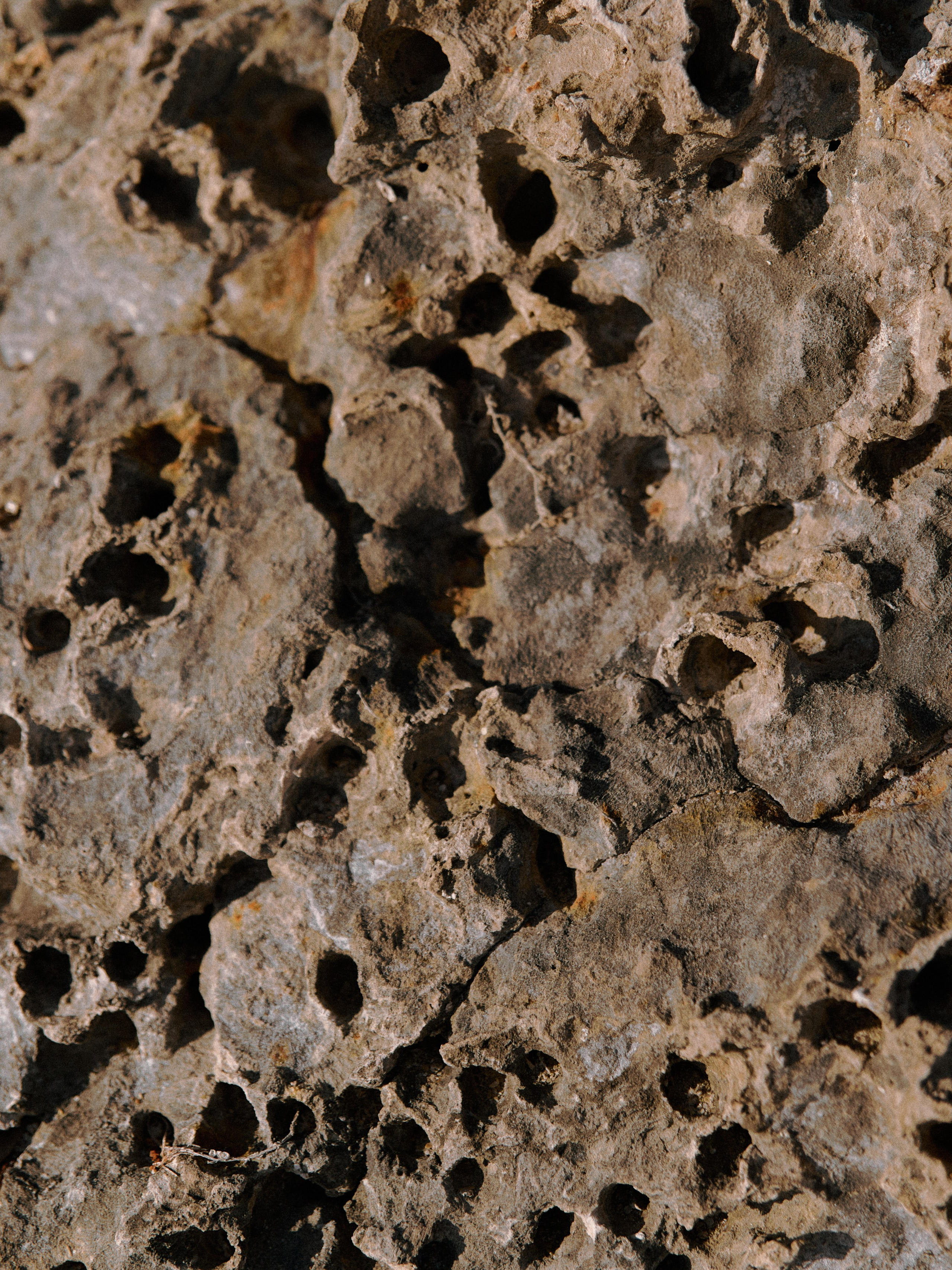 Природа. Jorgis Talè — photographer, kind person, teacher of arts and other mag