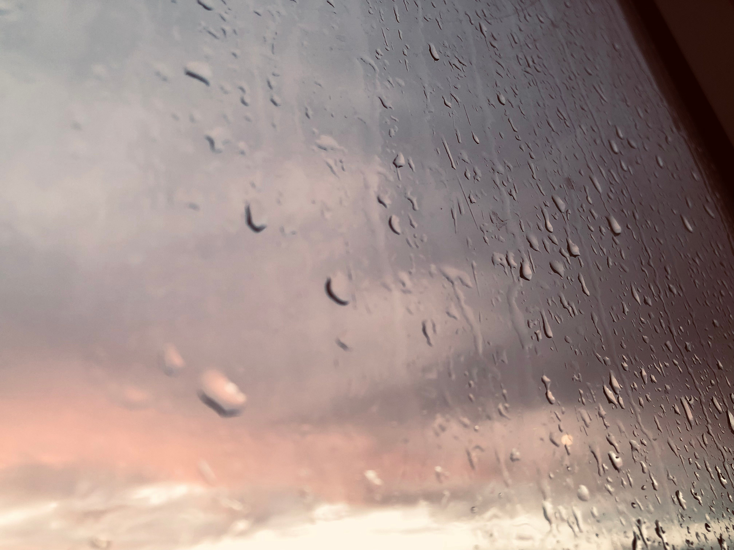 Сентябрь. Семейный, Свадебный фотограф СПБ Питер— Романова Екатерина