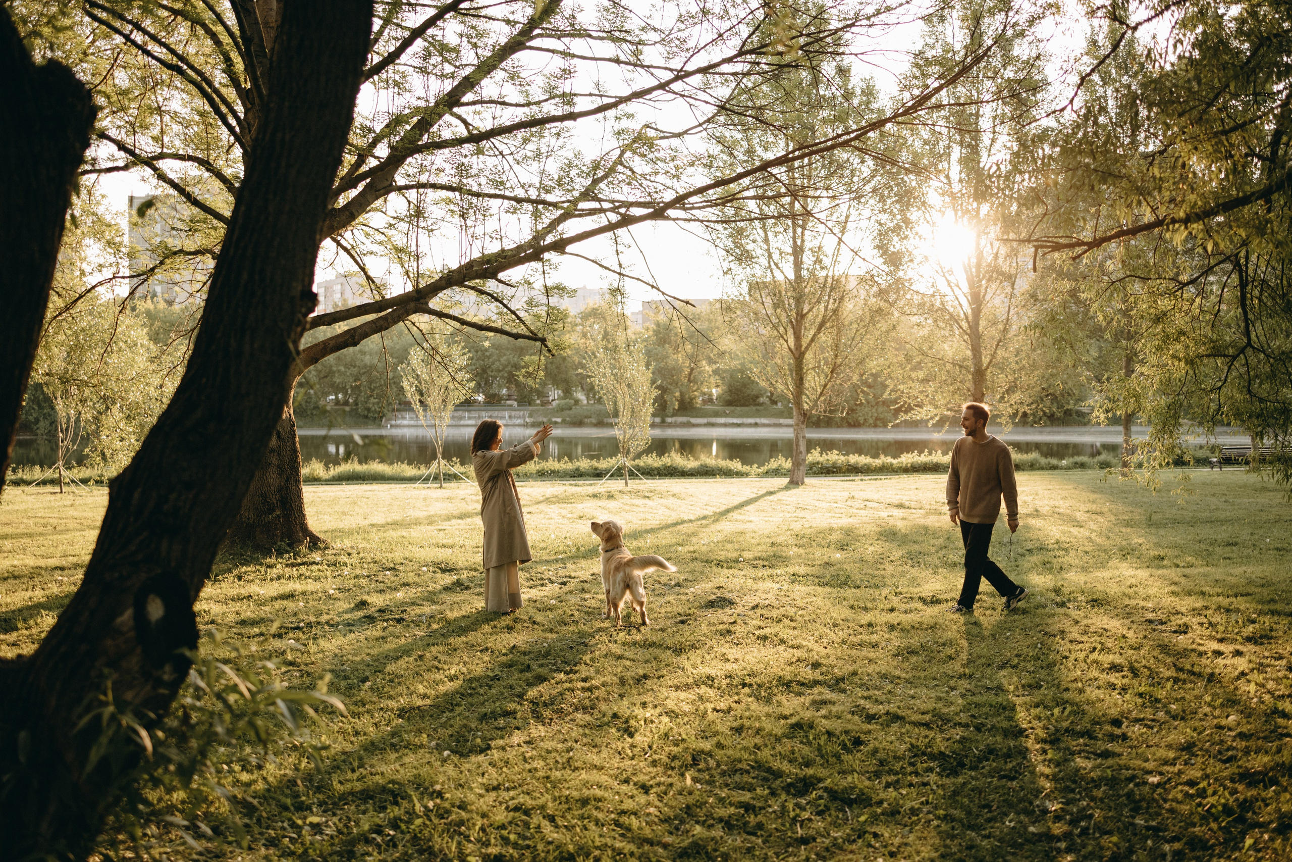 Пенни и ребята. Фотограф — Анималист | Санкт-Петербург