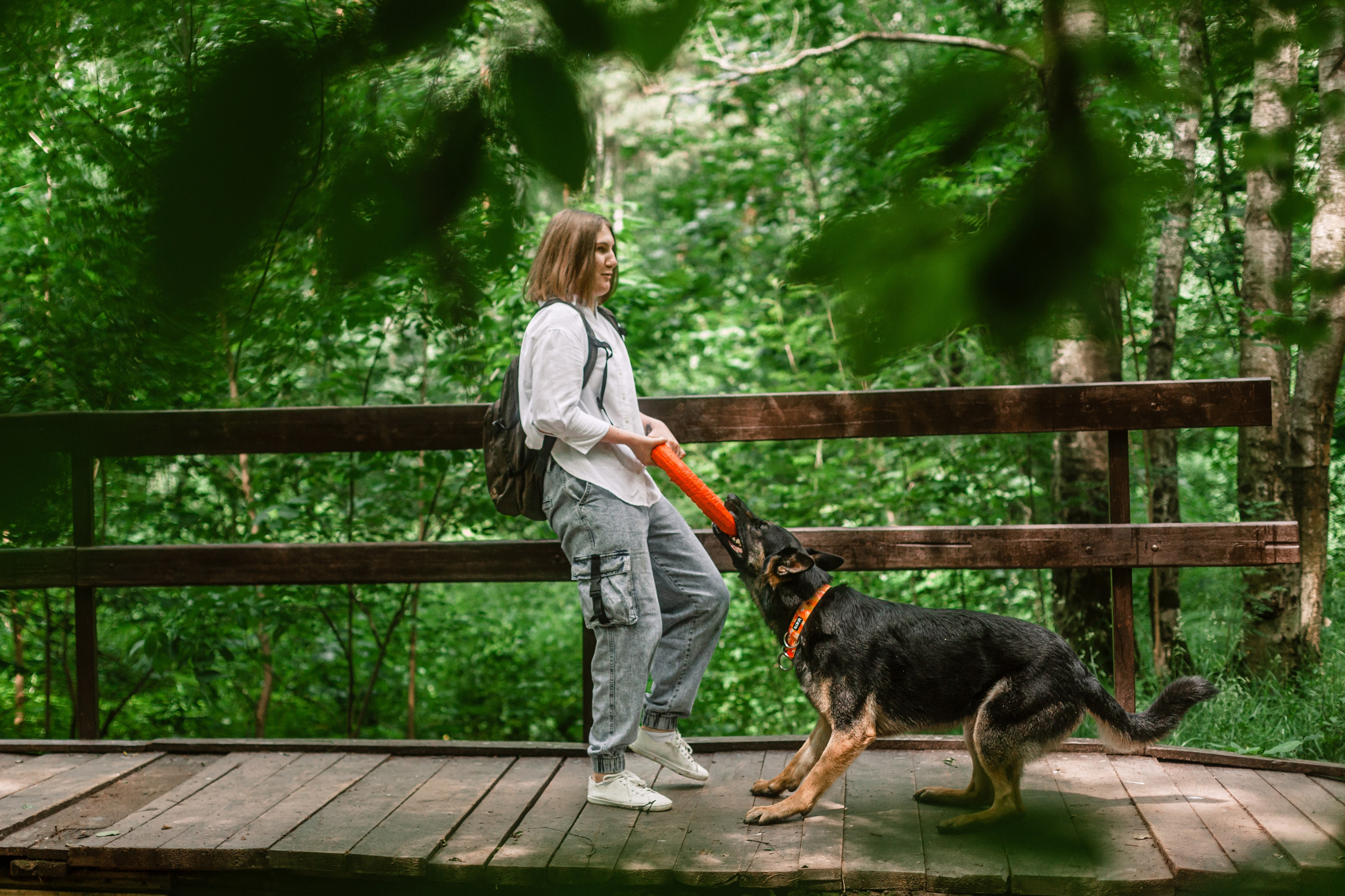 Лесная летняя фотопрогулка. Фотограф-анималист Татьяна Степанова