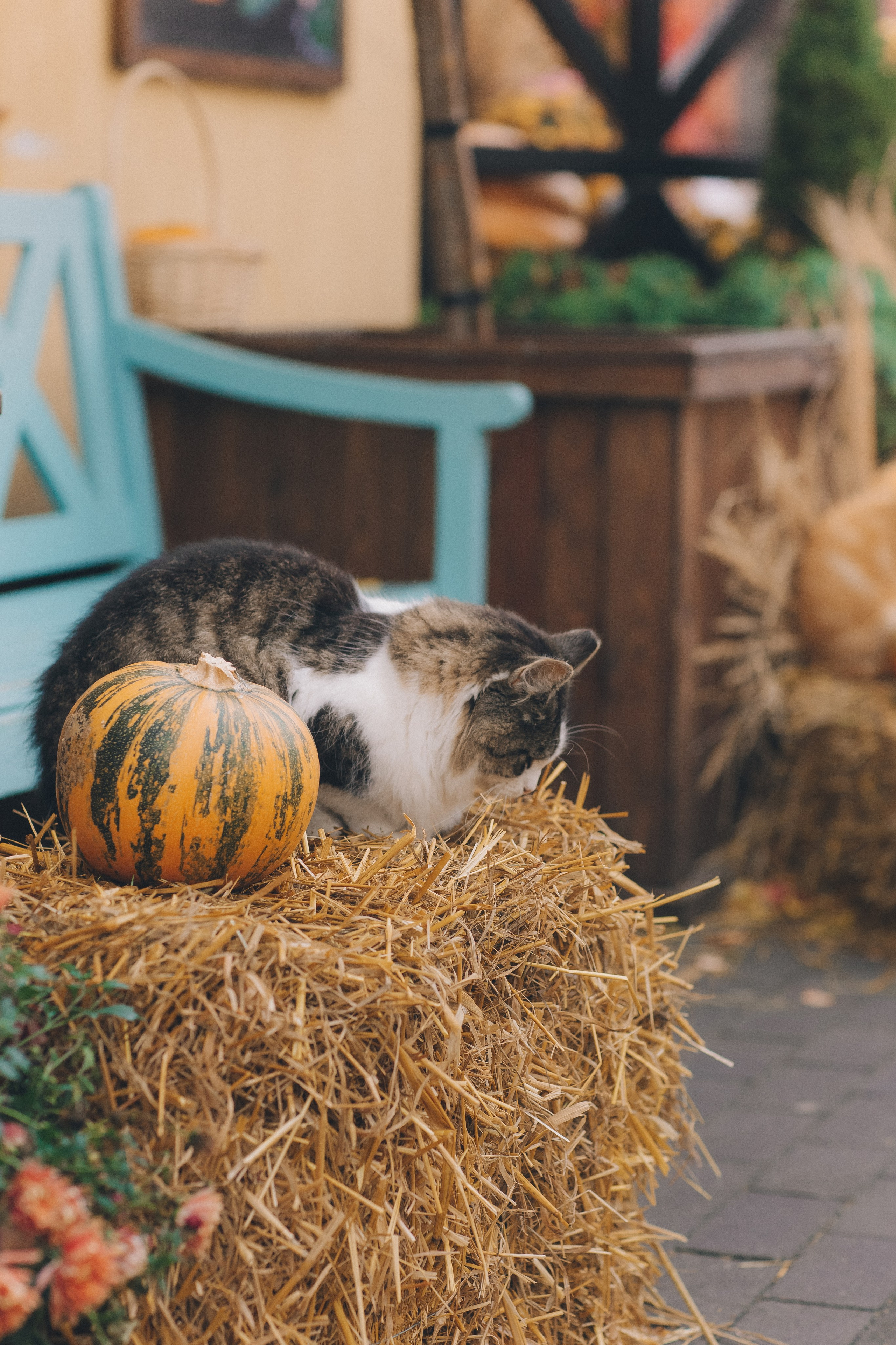 Юля. Фотограф Зеленоградск Красильникова Елена