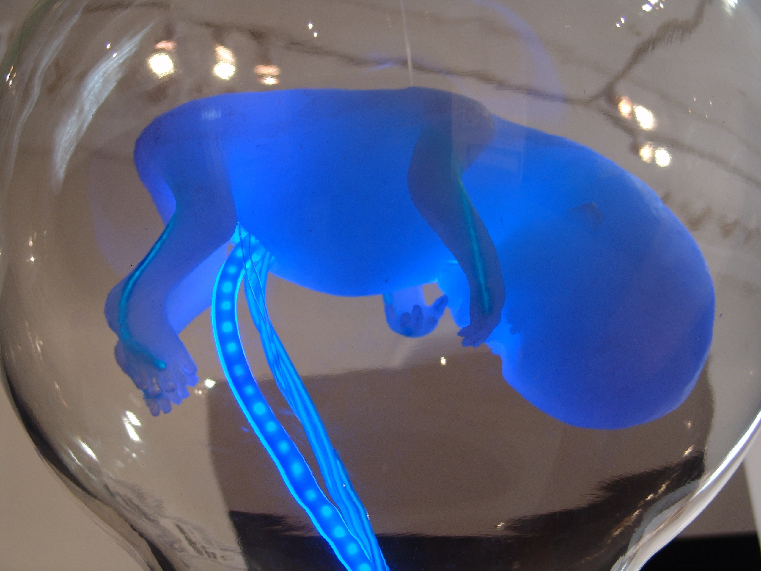 Антон Работнов