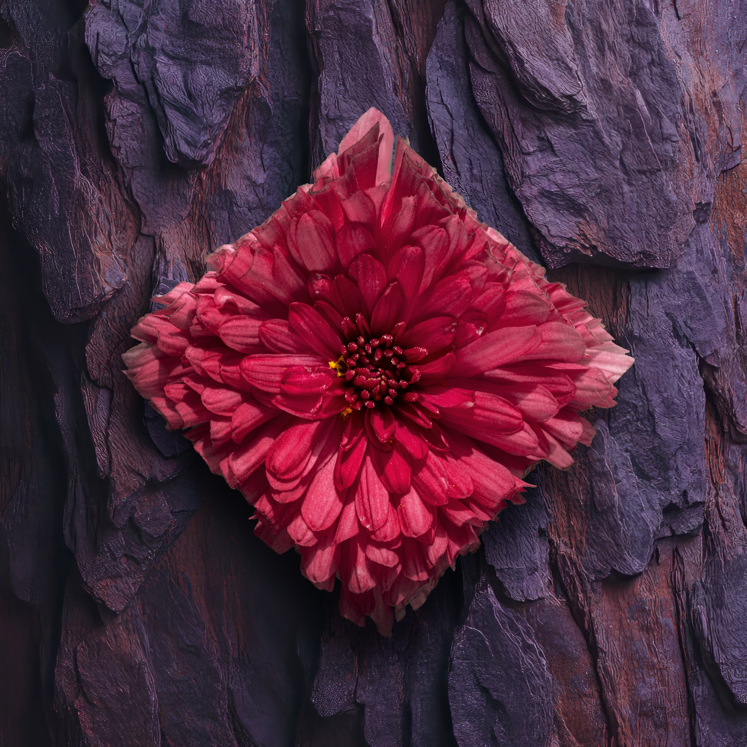 Кубики. Alena Ivochkina — conceptual photographer