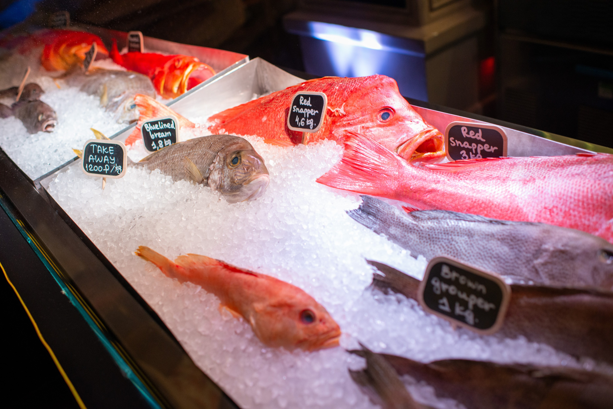 Мероприятия. Фотограф Дмитрий Андреев