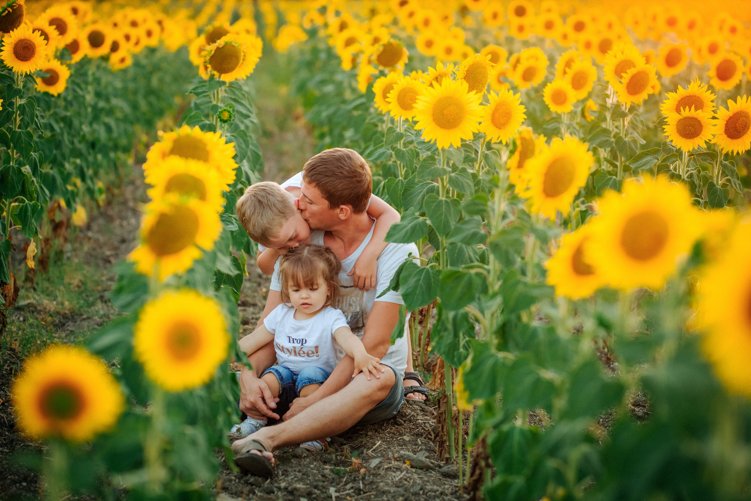 Подсолнухи!. Семейный, детский, свадебный, фотограф в городе Анапа