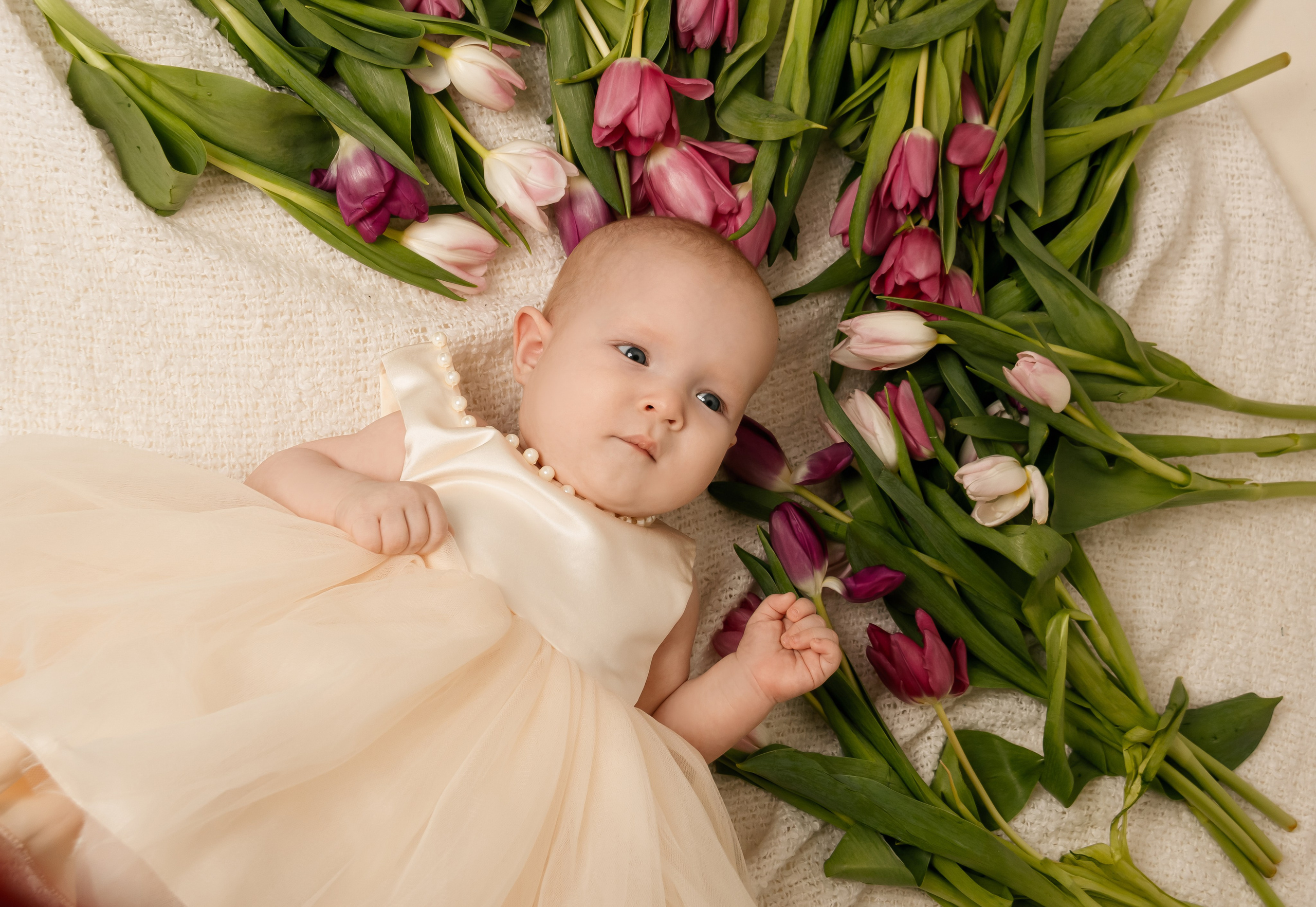 Фотопроект «Тюльпаны»