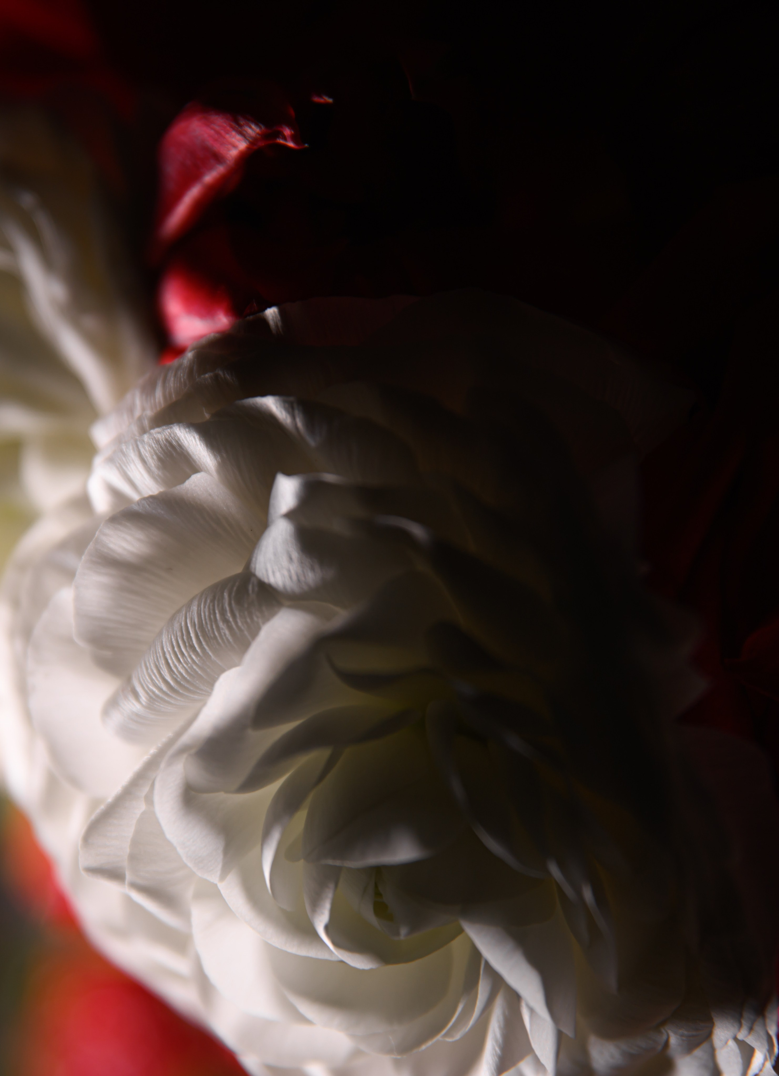 Алина и Иван. Свадебный фотограф Катерина Корнева Красноярск