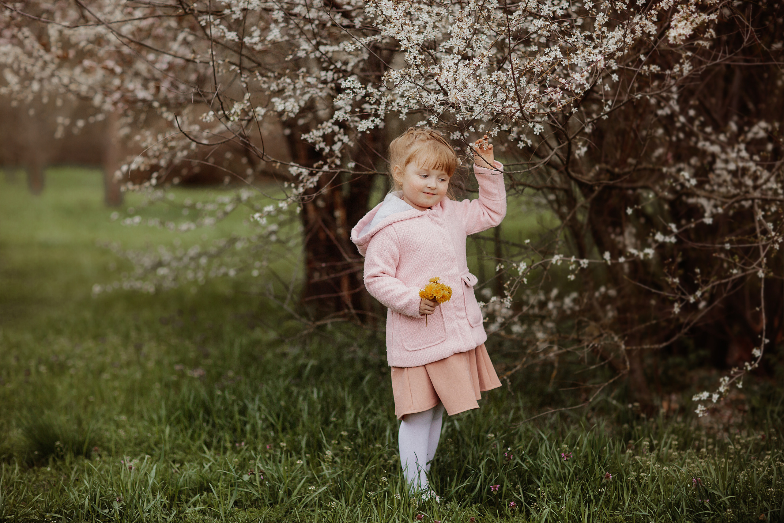 Семейная фотосессия для Екатерины. Свадебный и семейный фотограф/видеограф в Краснодаре Наталья Осинская
