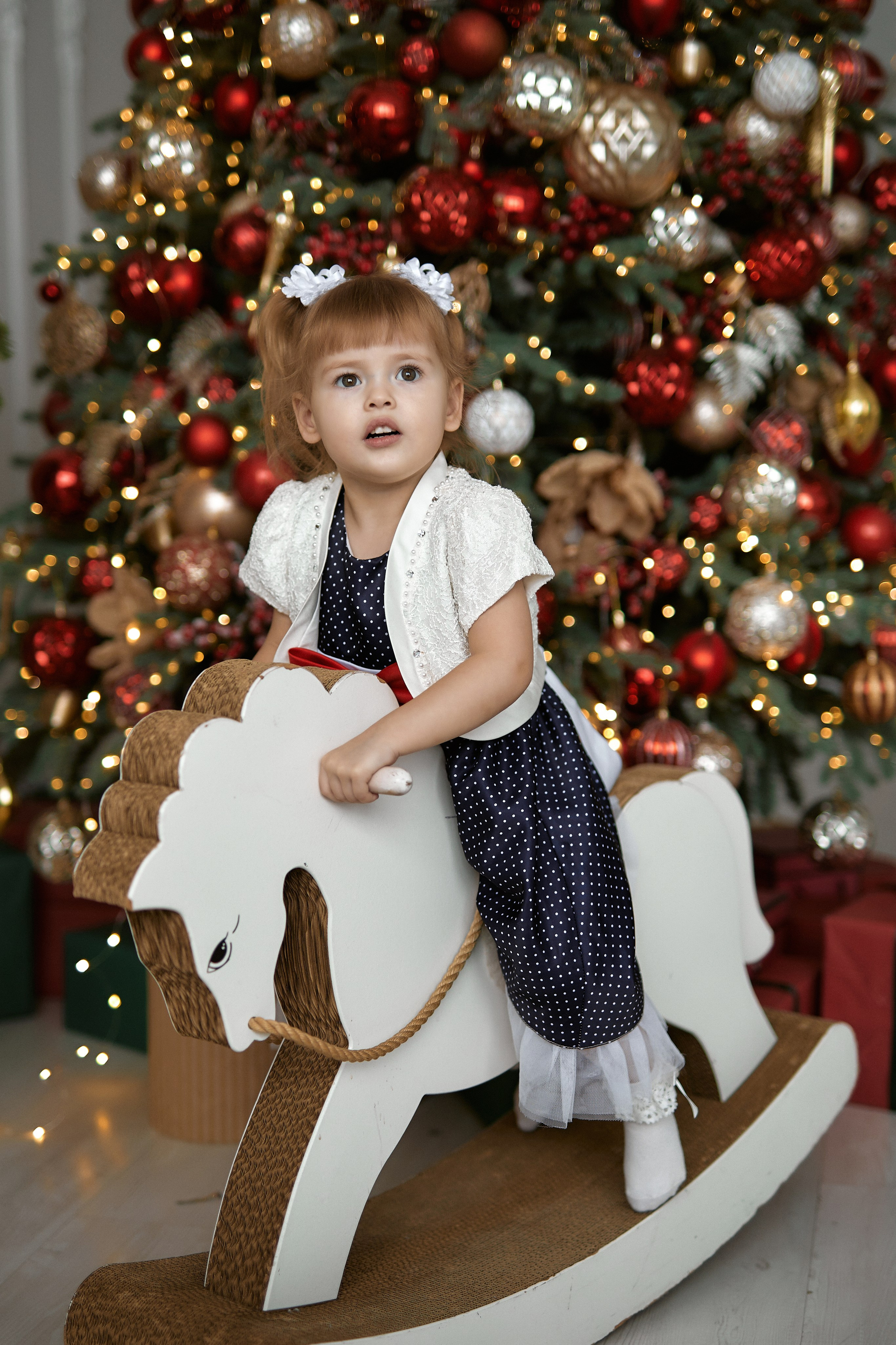 Фотостудии Барнаул. Свадебный репортажный и фуд фотограф в Барнауле Гайфулин Виталий