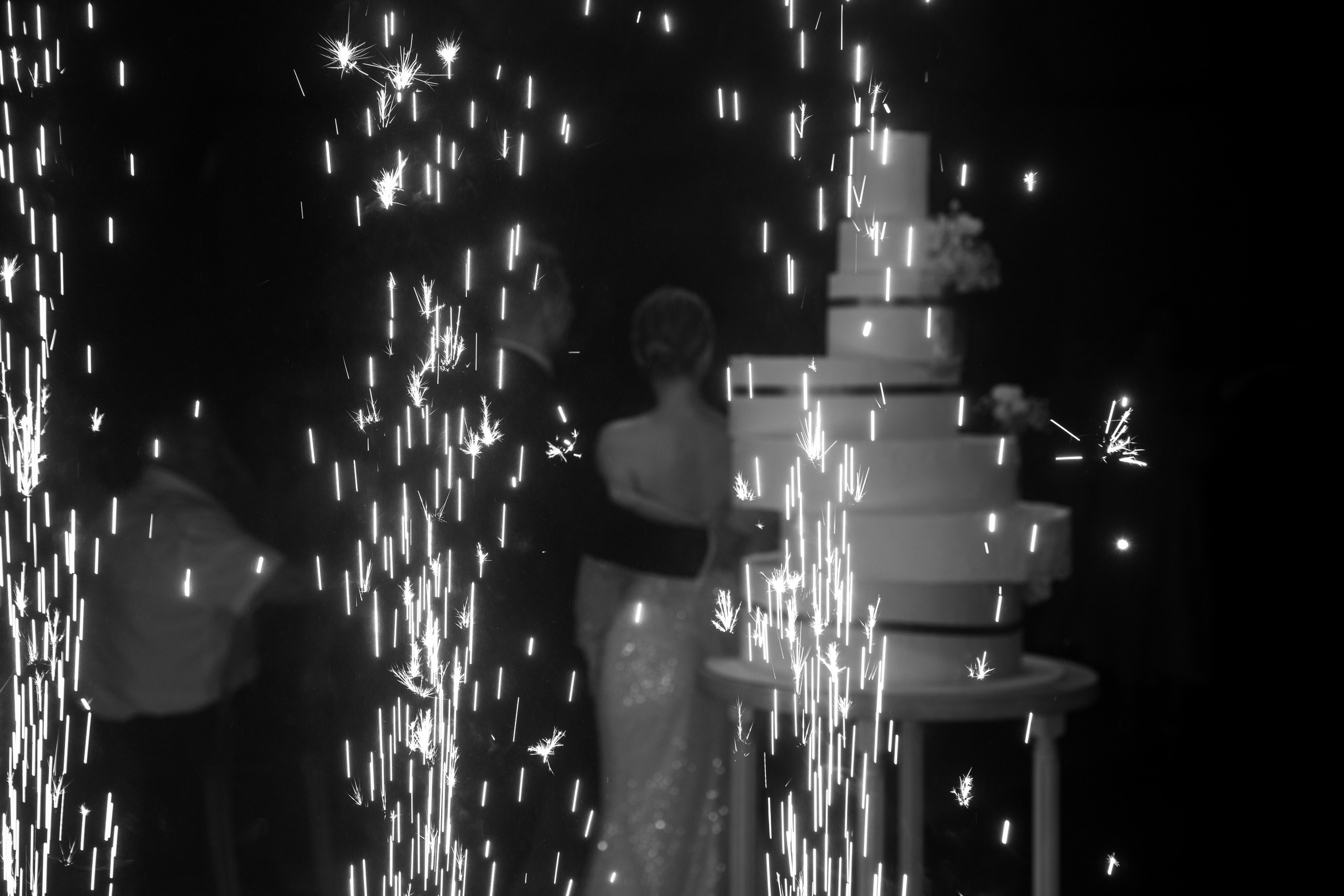 Александр и Диана. Свадебный и репортажный фотограф Ростов-на-Дону Алексей Гуль