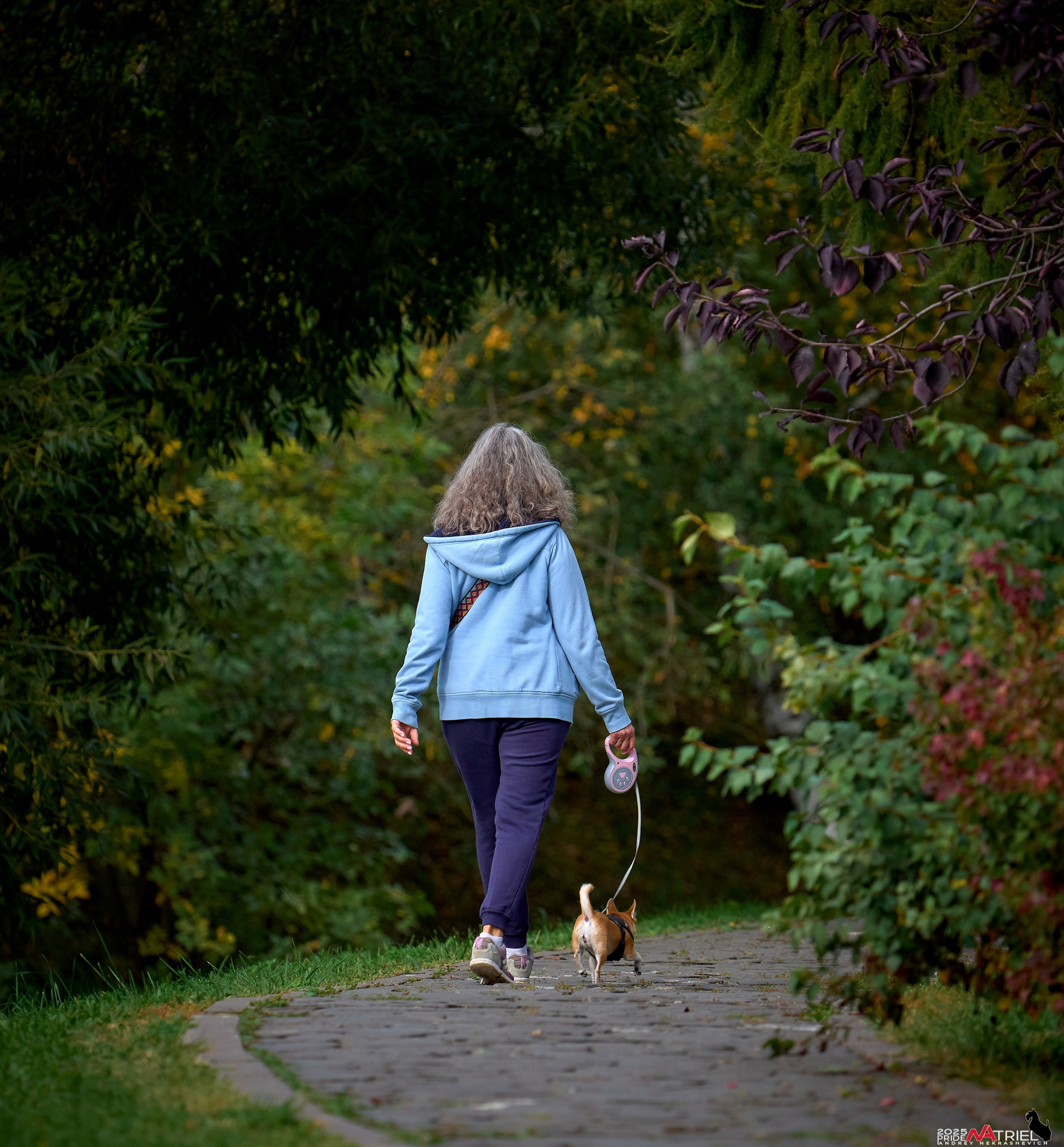 Съемка с объективом Sony 200-600 на камеру Sony A1m2