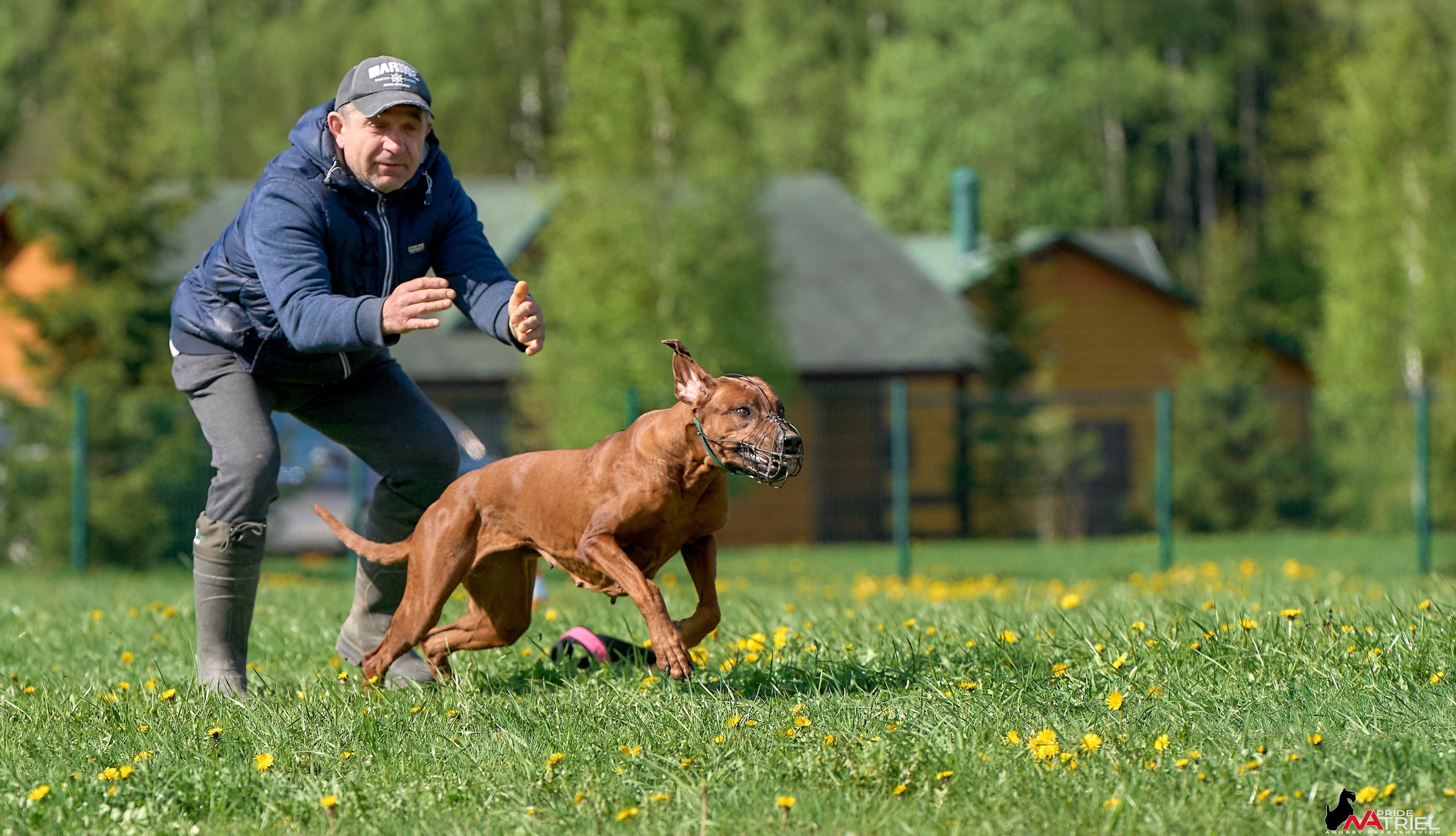 Съемка курсинг — галерея NATRIEL