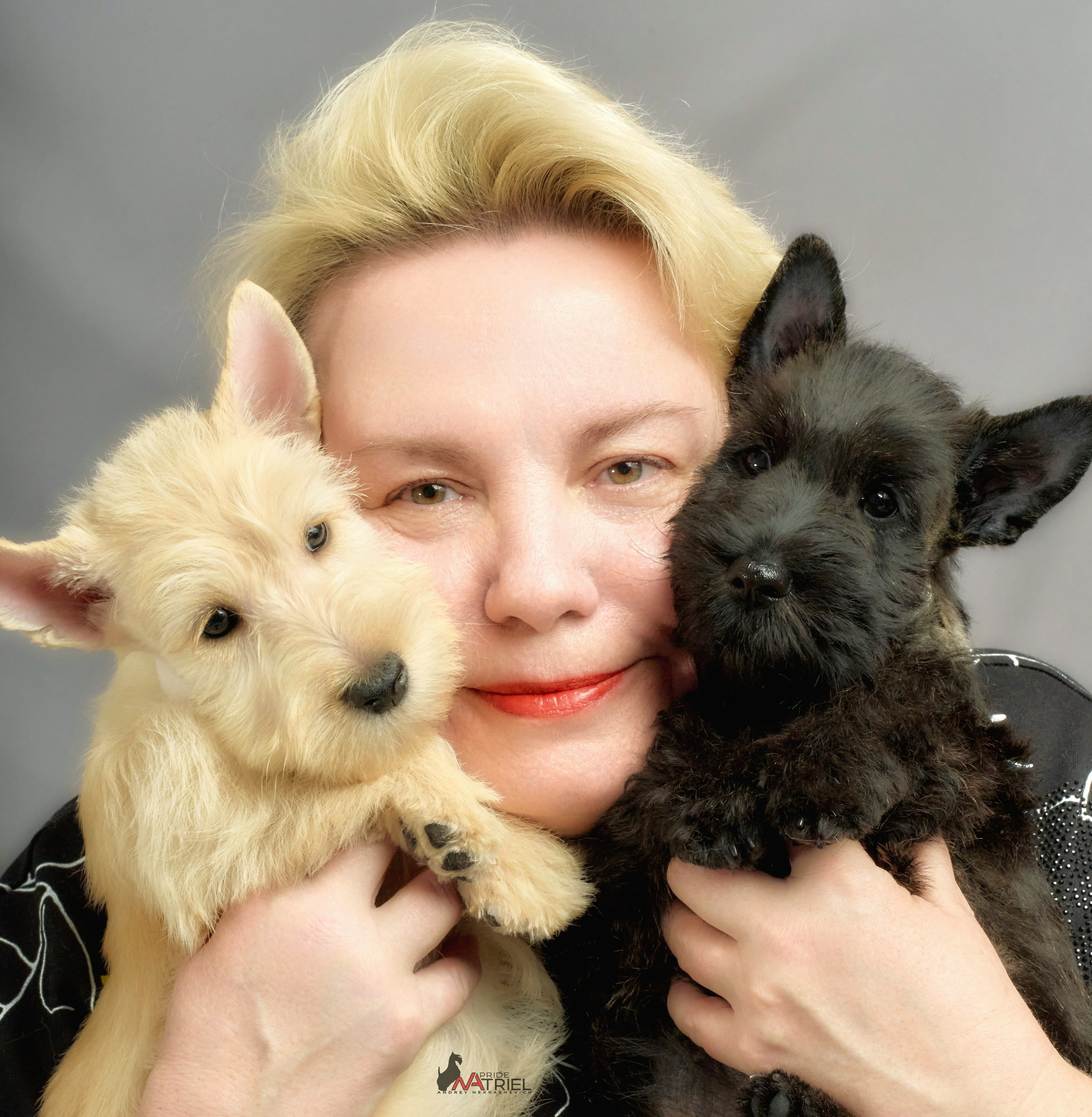 Съемка щенков скотч-терьеров