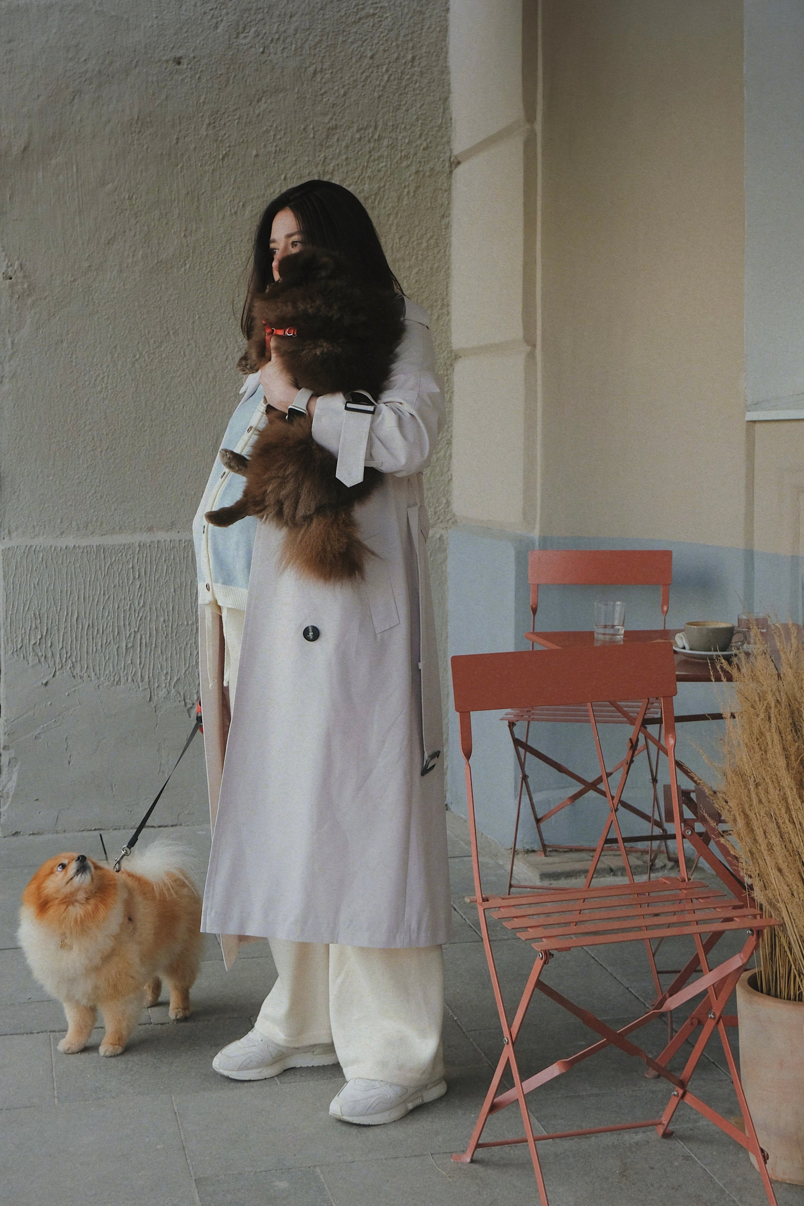 Питомцы. Татьян гертье