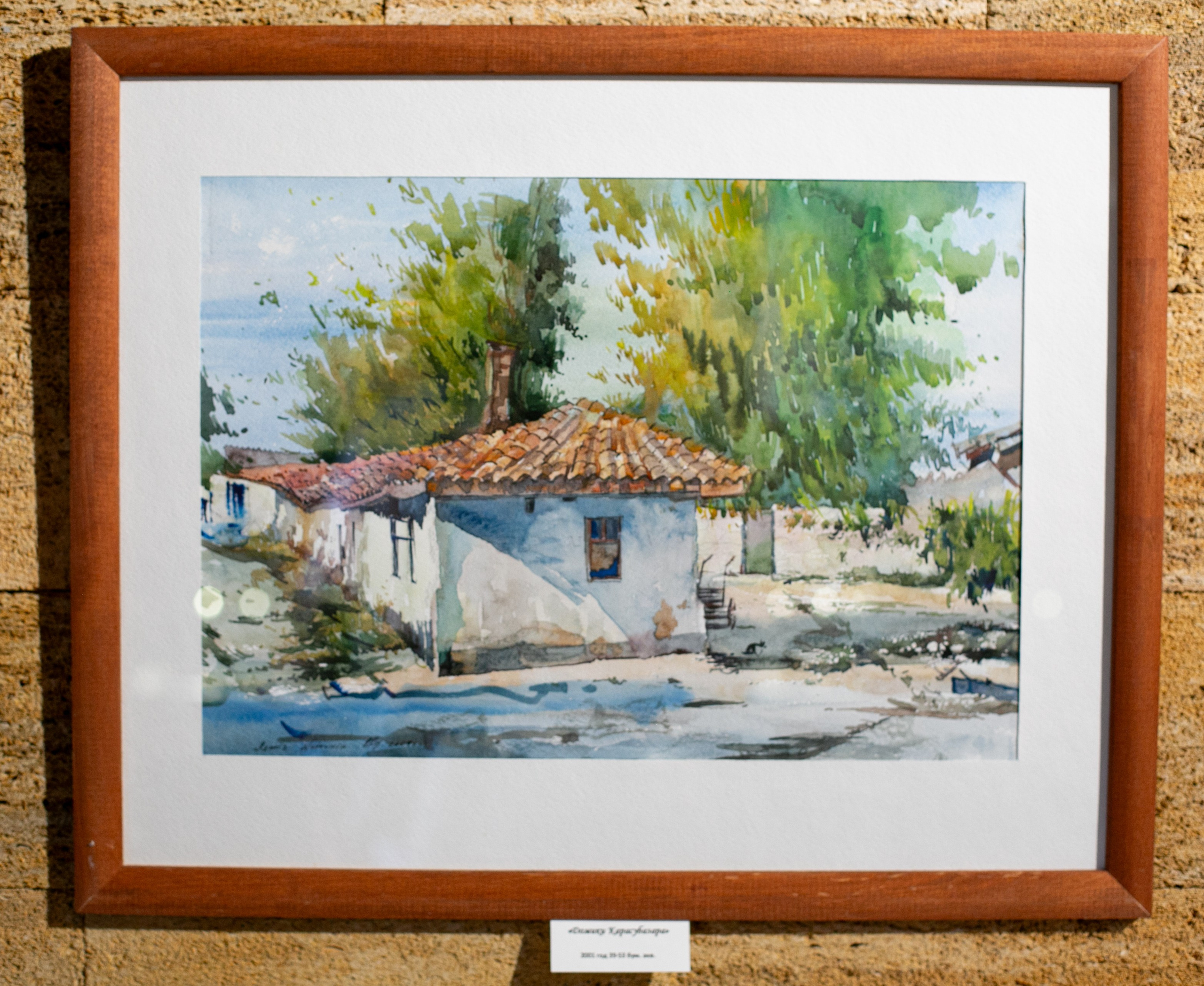 Ramiz Netovkin. Beye Shevkiyeva Photography