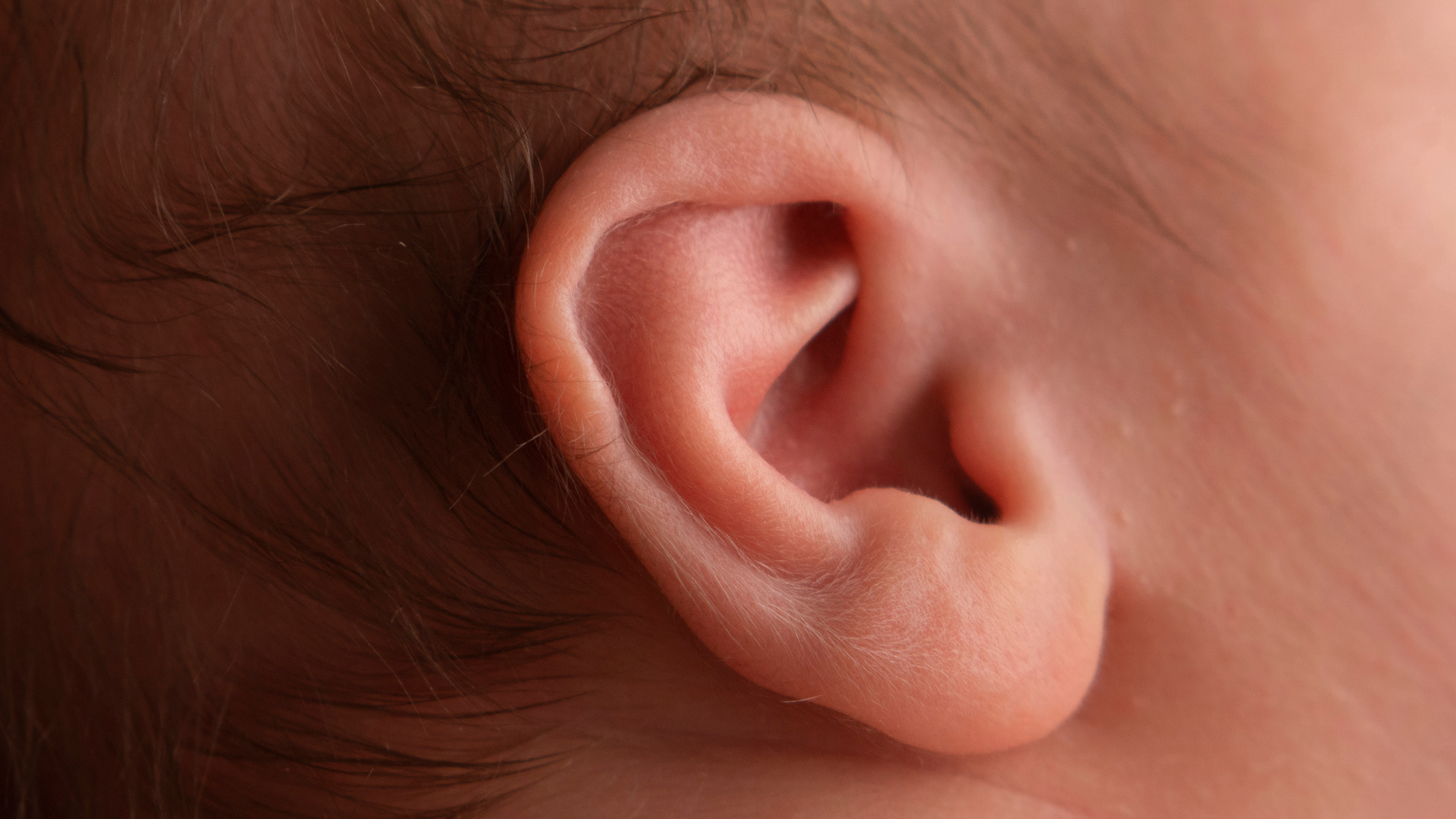 Съёмка новорожденных. Фотограф новорожденных в Новоалександровске Оксана Джолаева