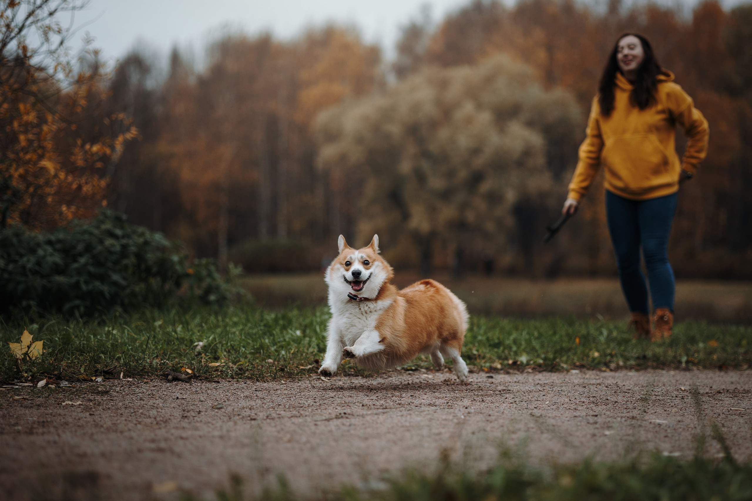 Юля и Терри. Фотограф — Анималист | Санкт-Петербург