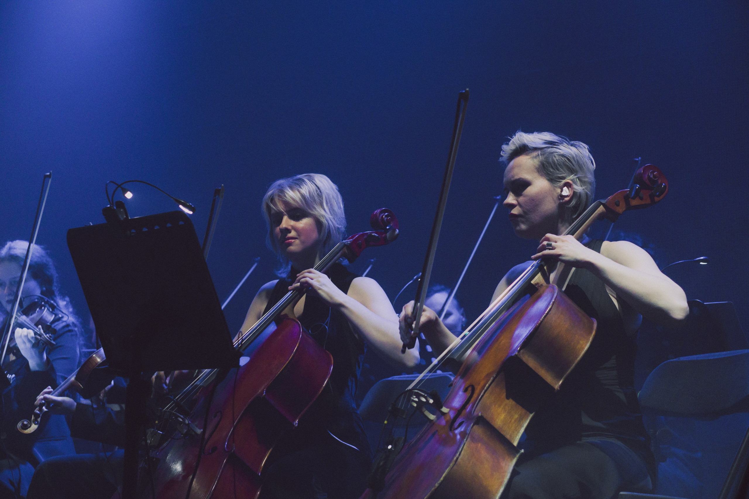 Ssshhhiiittt. Фотограф Нижний Новгород — Дмитрий Грехов