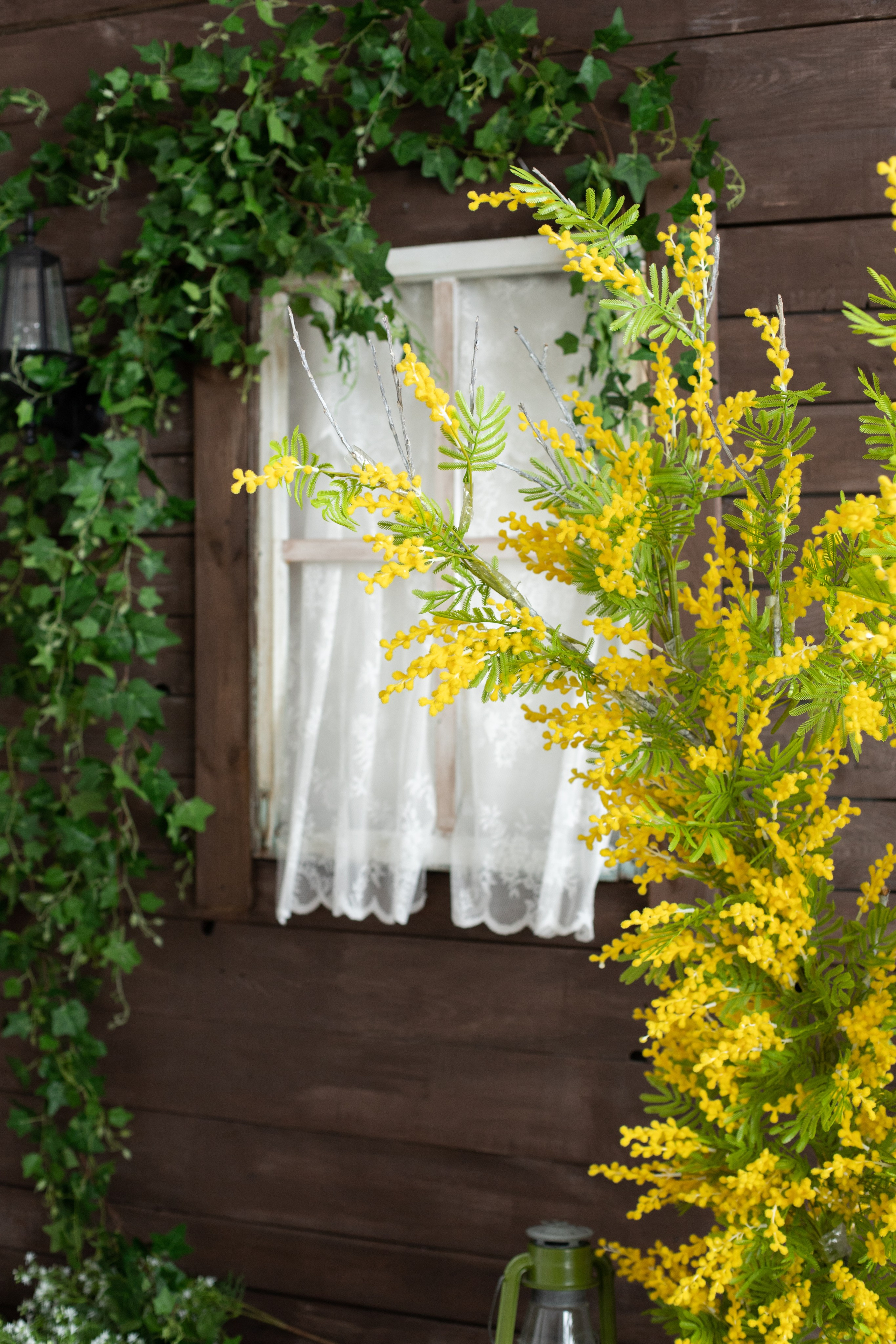 Буфет (студия Зеркало). Фотограф г. Хабаровск. Семейные и индивидуальные съёмки