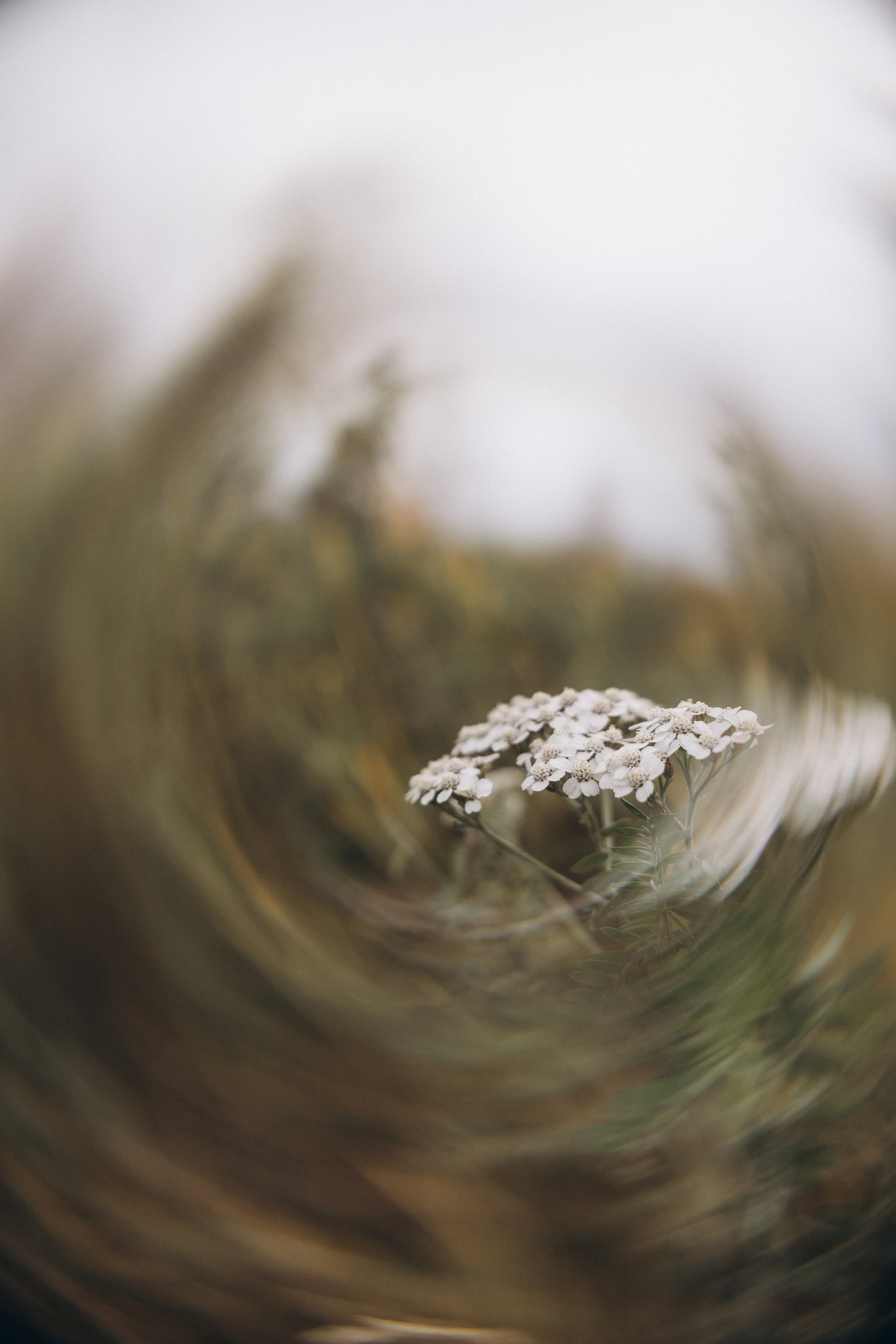 Лера. Семейный и портретный фотограф в Новом Уренгое