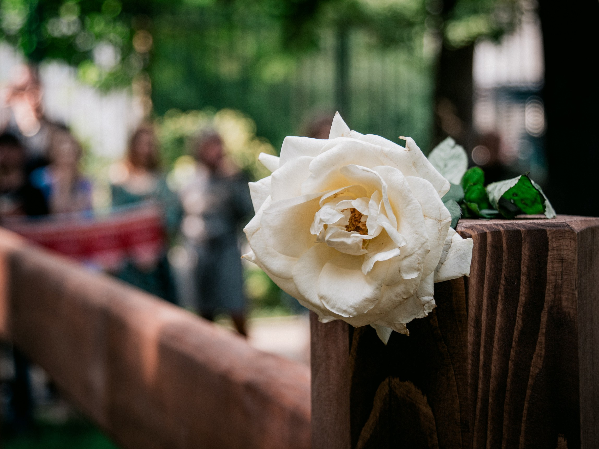 Фестивали. Фоточки