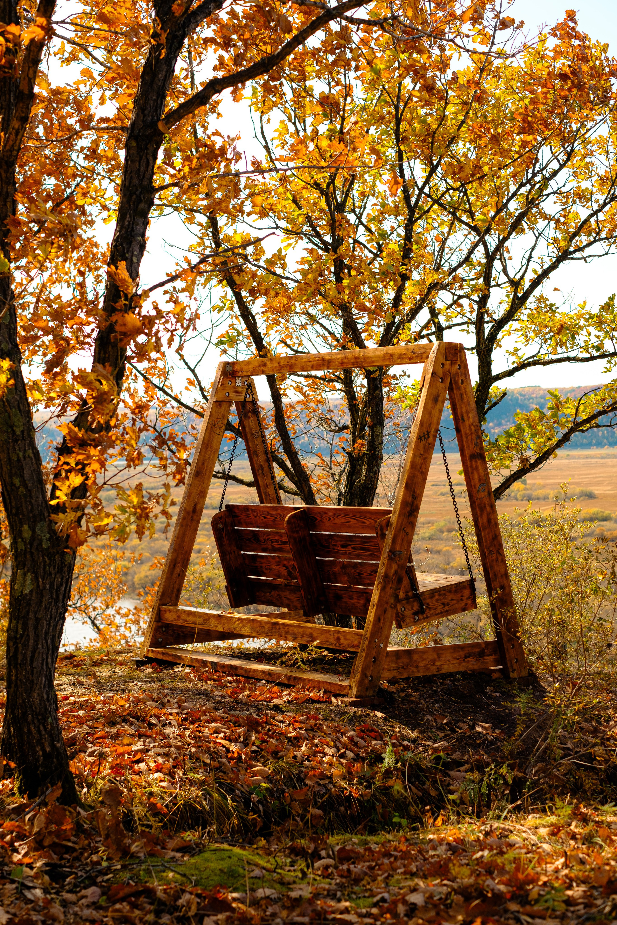 Михайловские столбы осенью. Фотограф Благовещенска Яна
