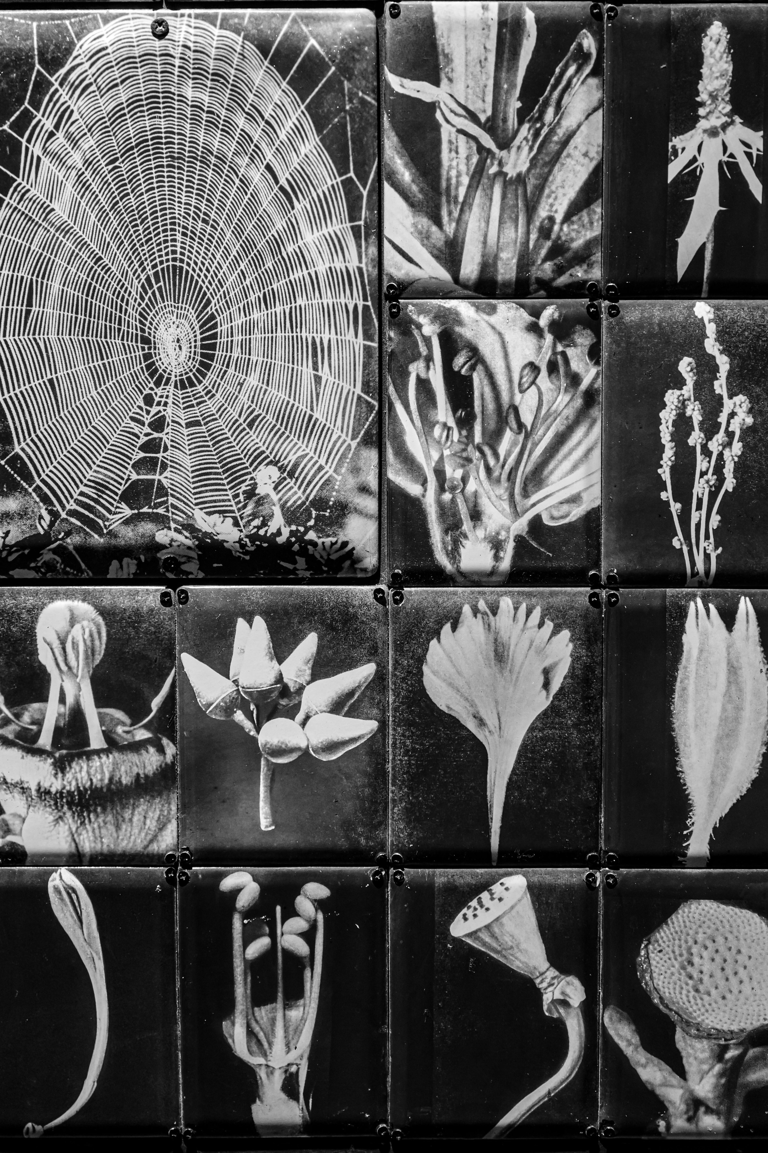 Event photographer - Репортажный фотограф Симонов Дмитрий
