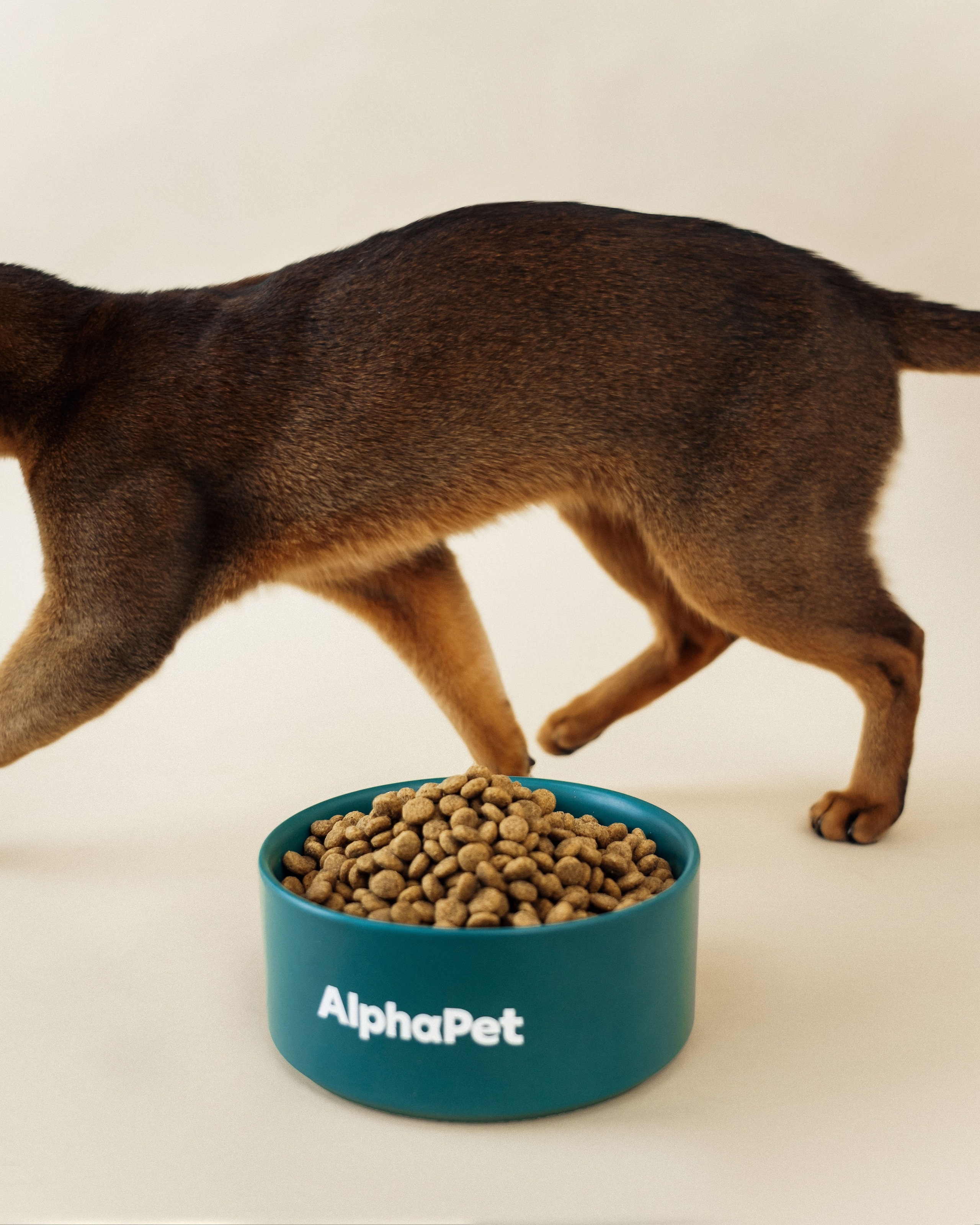 AlphaPet. Фотограф Москва
