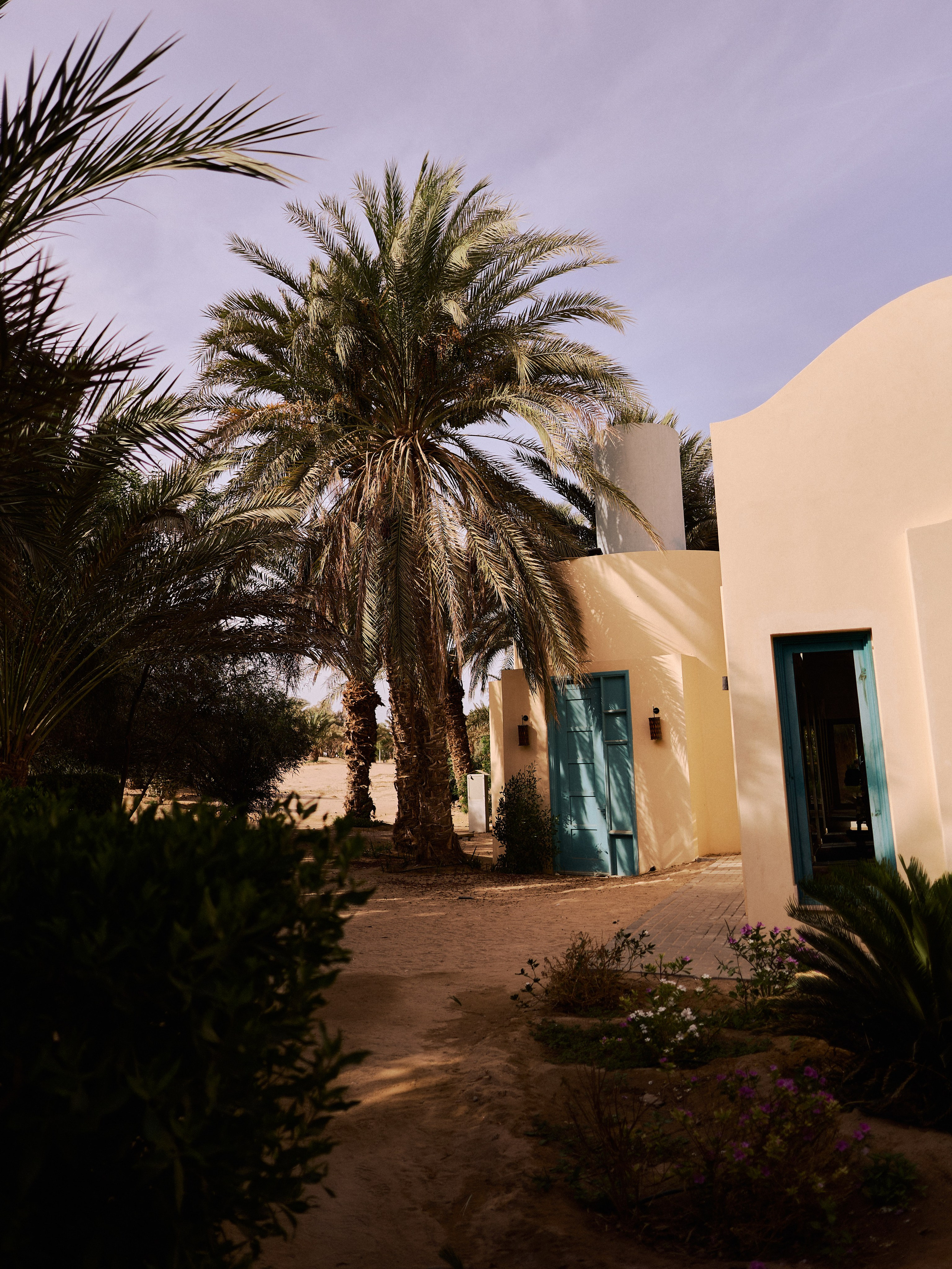 Другое 2. Jorgis Talè — photographer, kind person, teacher of arts and other mag