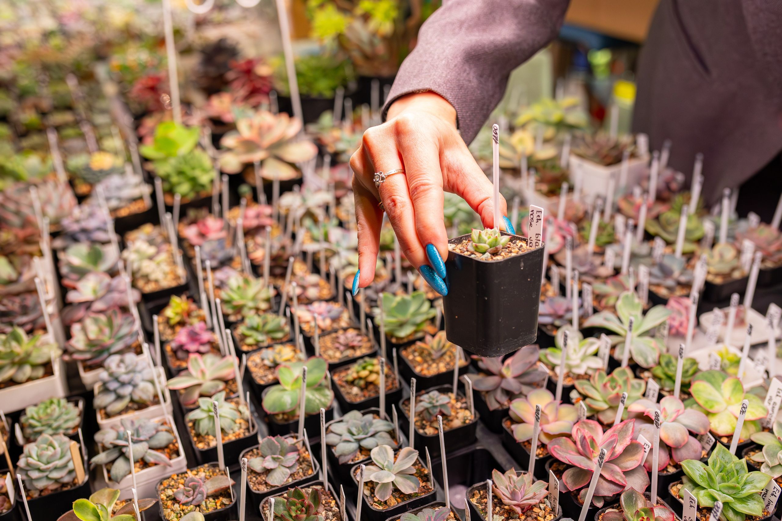 Growbox 1–2 марта. Александра Куликова фотограф, Москва