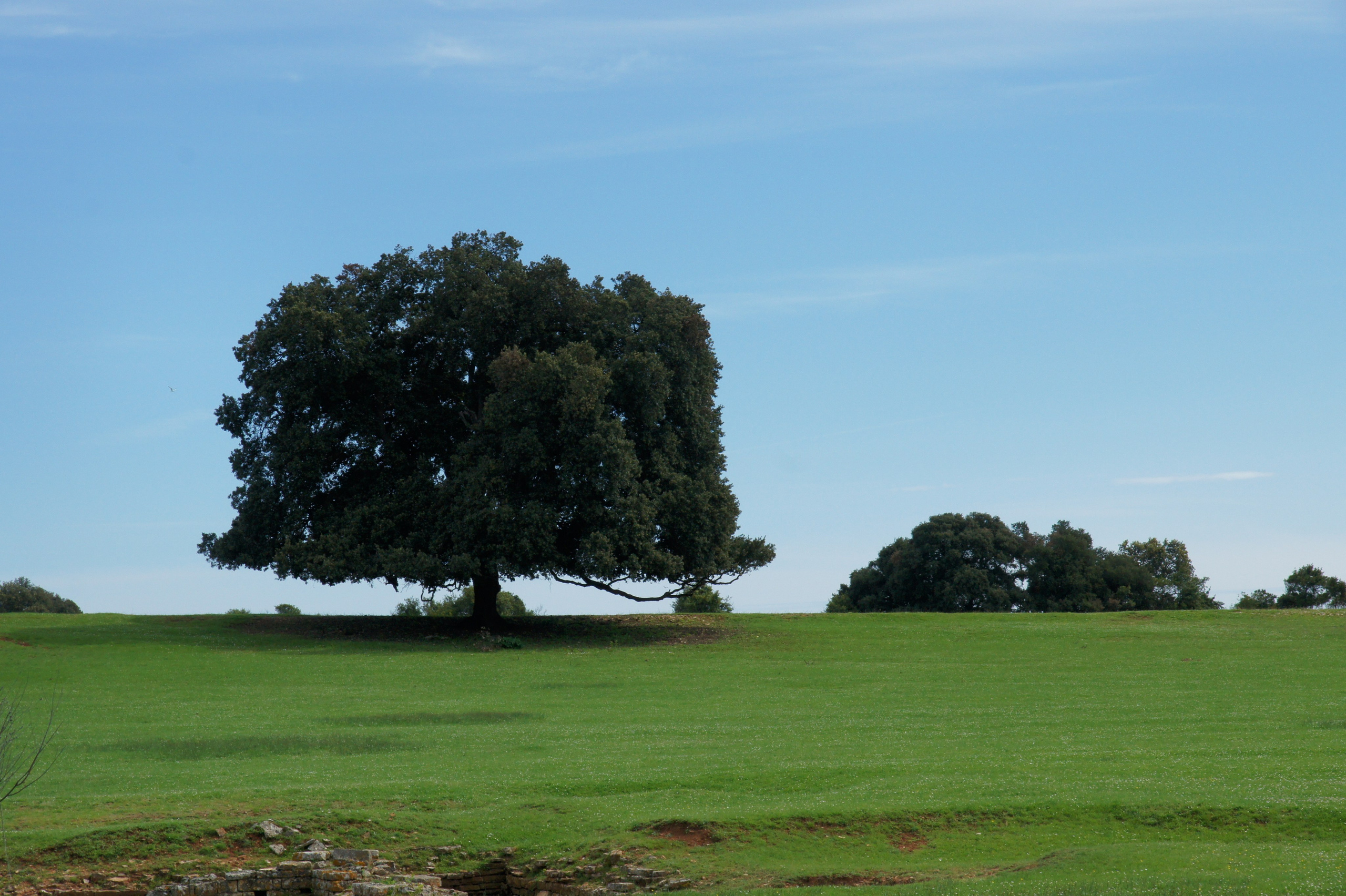 Хорватия. Главная