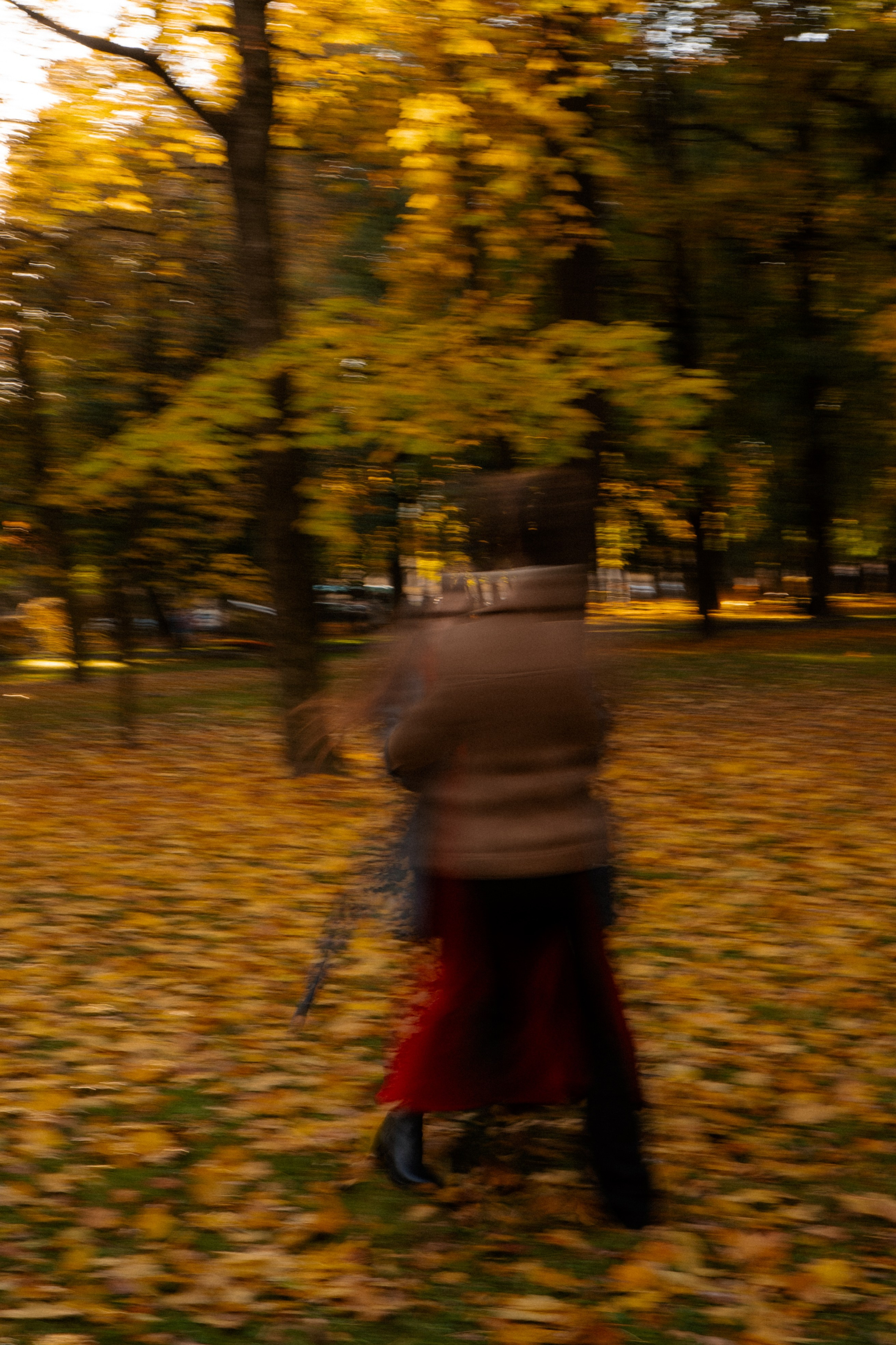 ОСЕННЯЯ ПРОГУЛКА. Профессиональный фотограф, Санкт-Петербург — Виктория Богомолова