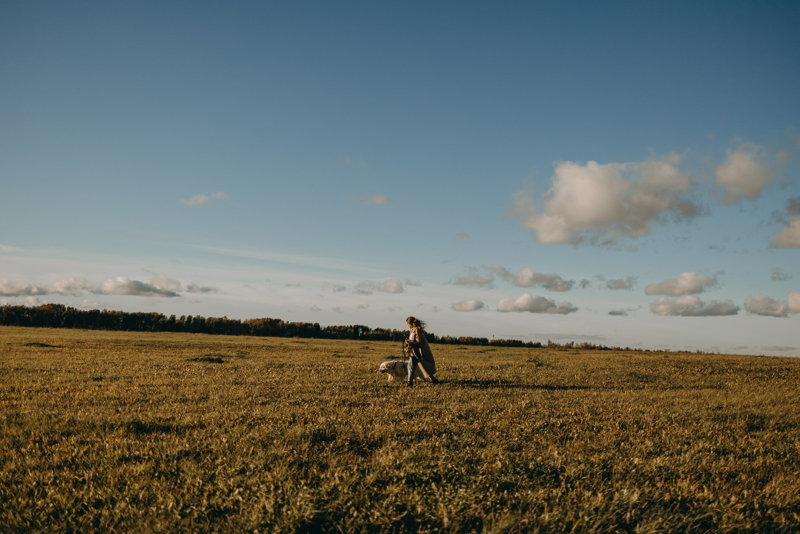 Лера и Скай. Фотограф — Анималист | Санкт-Петербург