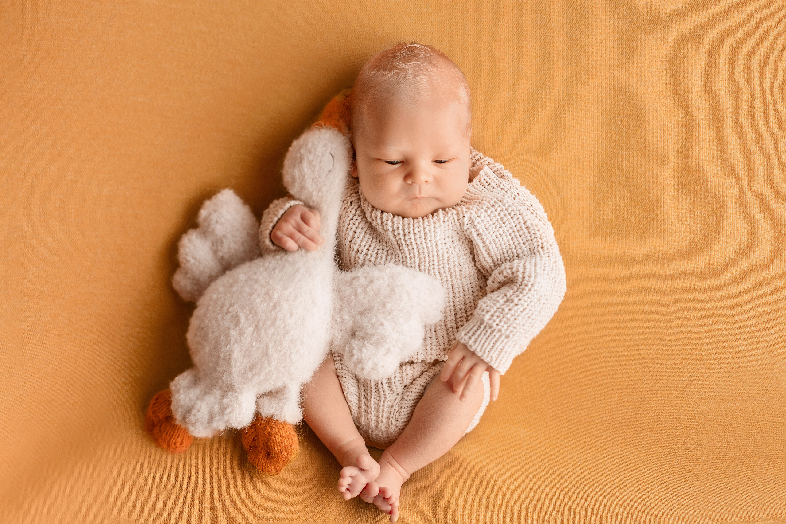 Новорожденные. Семейный фотограф в Витебске Юлия Вусько