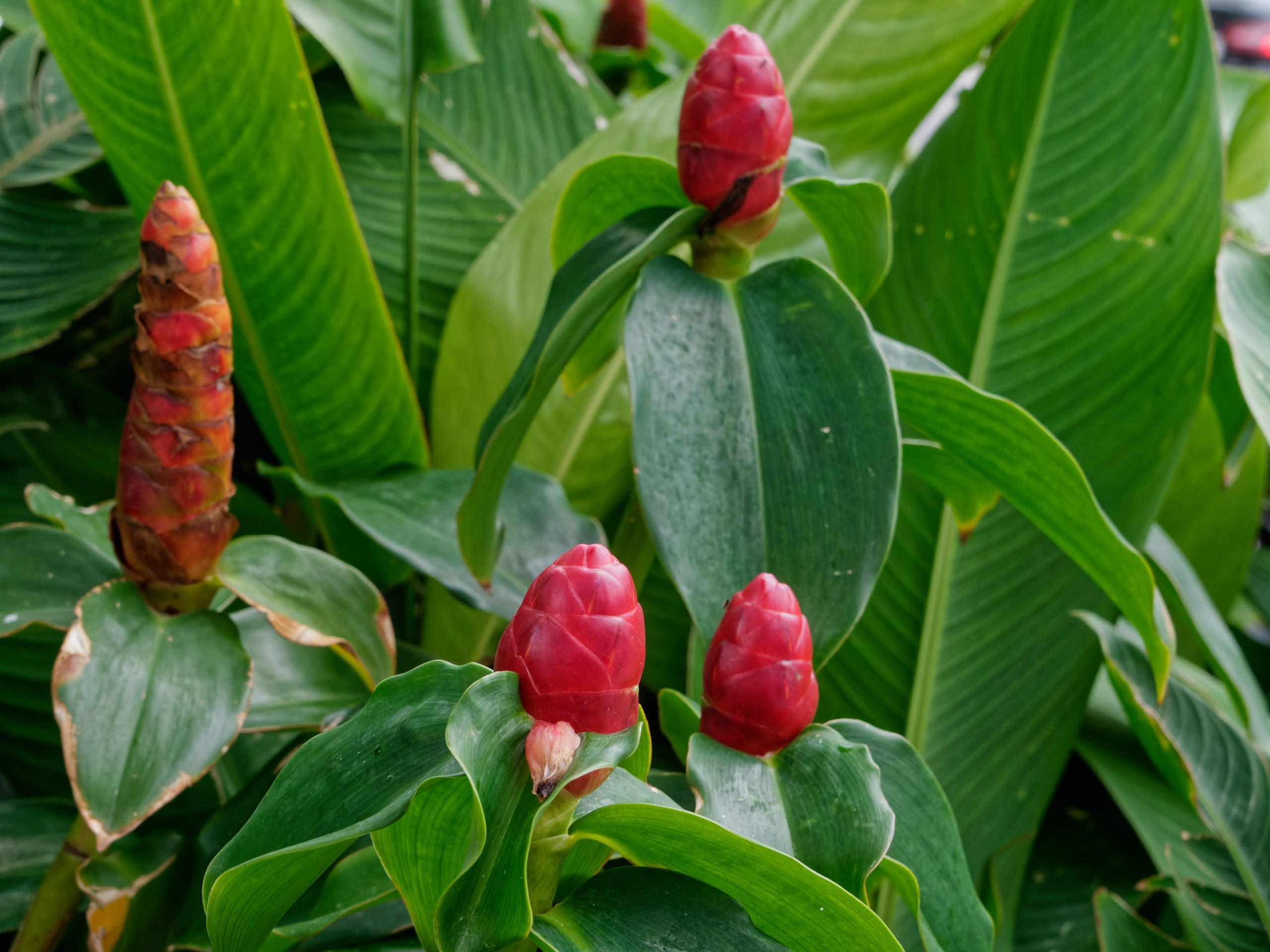 Нячанг 2025 (4). Избранные фотографии