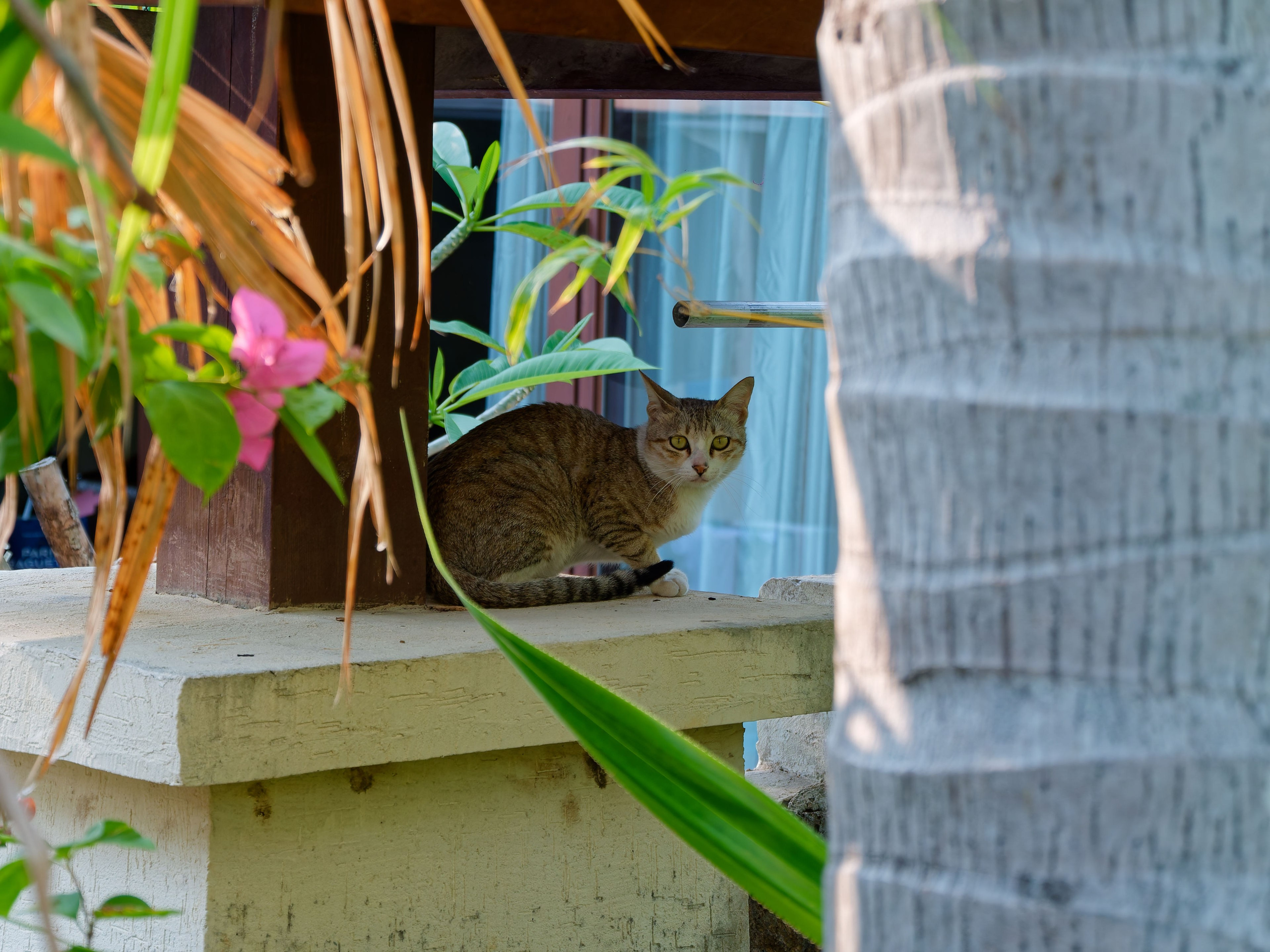 Хайнань 2026, первые впечатления. Фотопрогулки по Миру