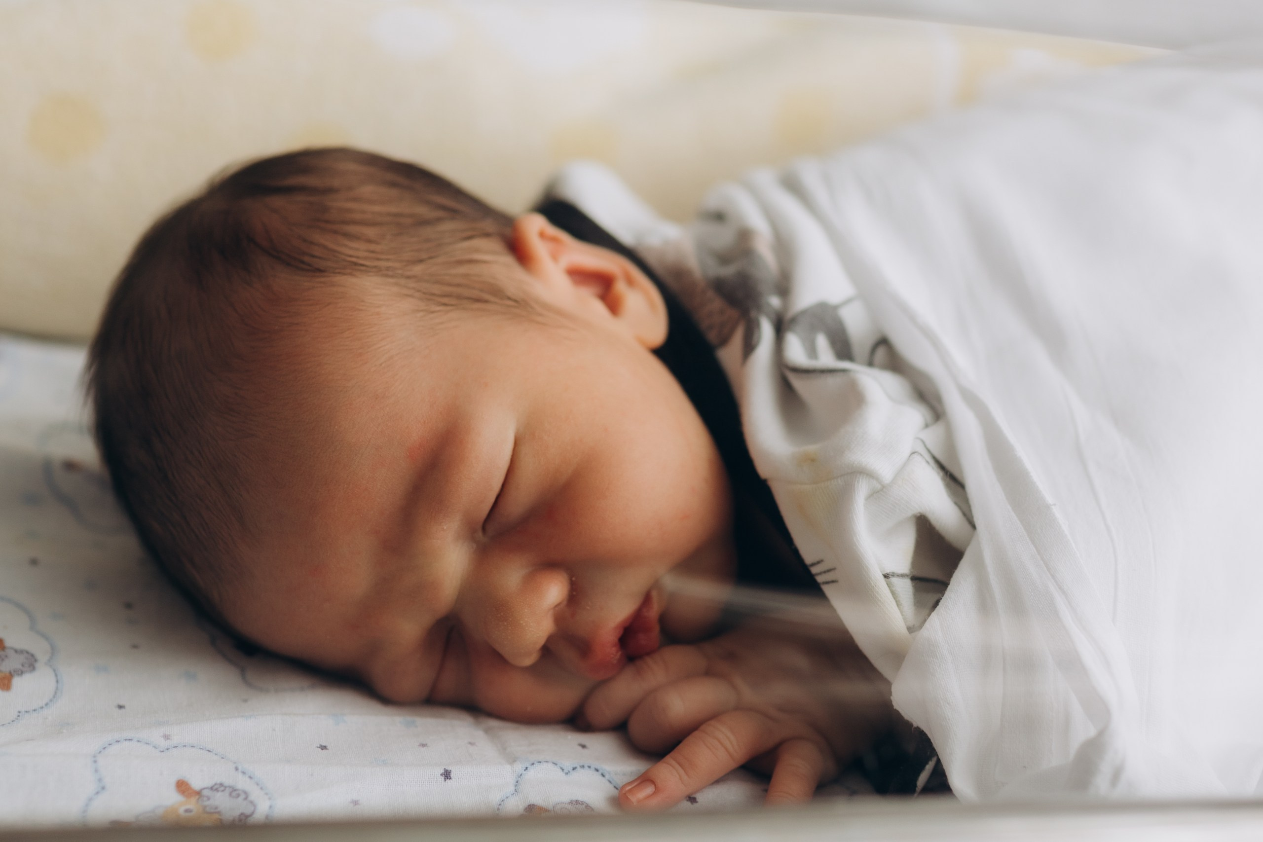 Младший брат. Выписка. Фотограф на роды в Санкт-Петербурге Екатерина Сысоева