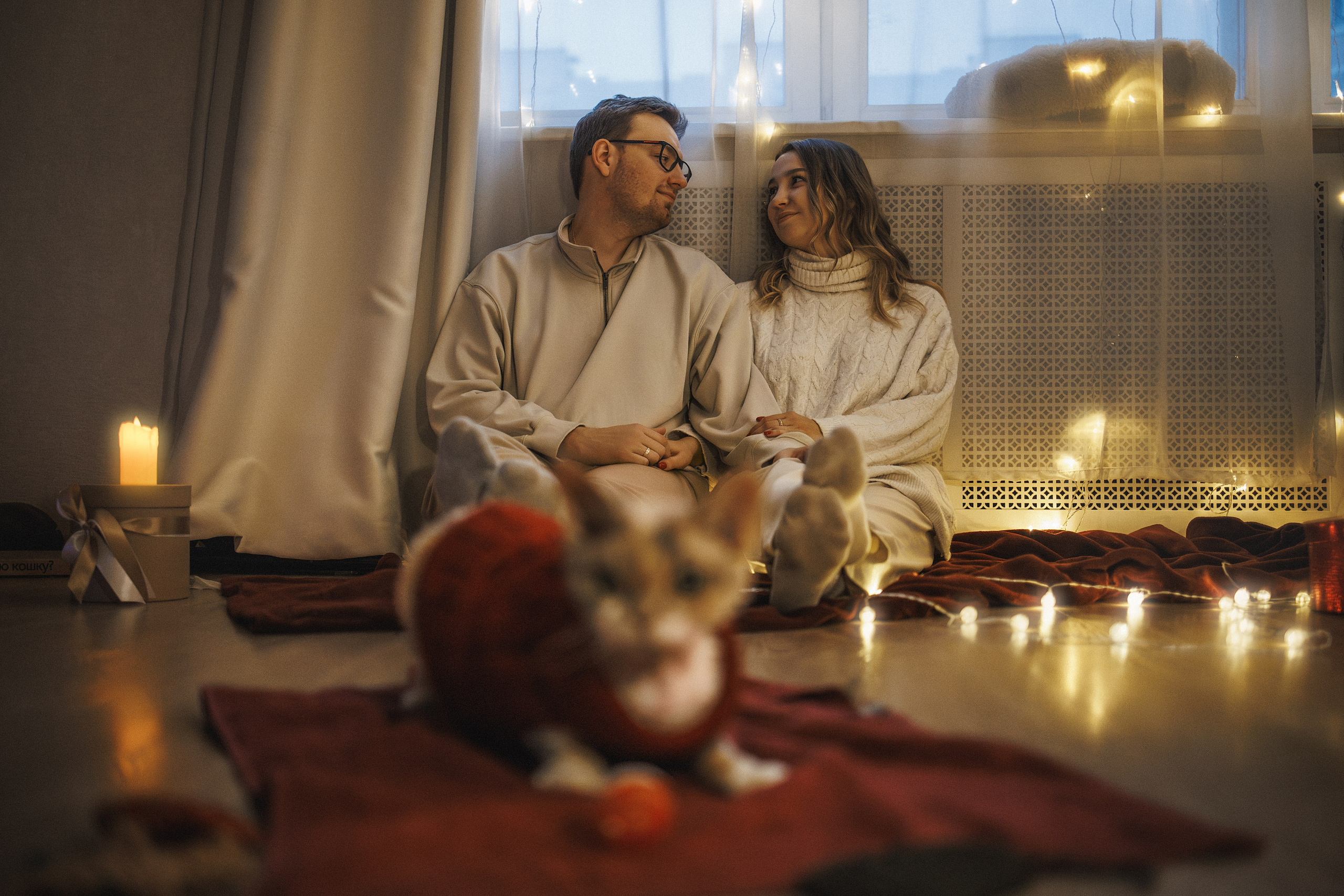 Домашняя новогодняя. Фотограф Анималист в Москве Анастасия Жучкова