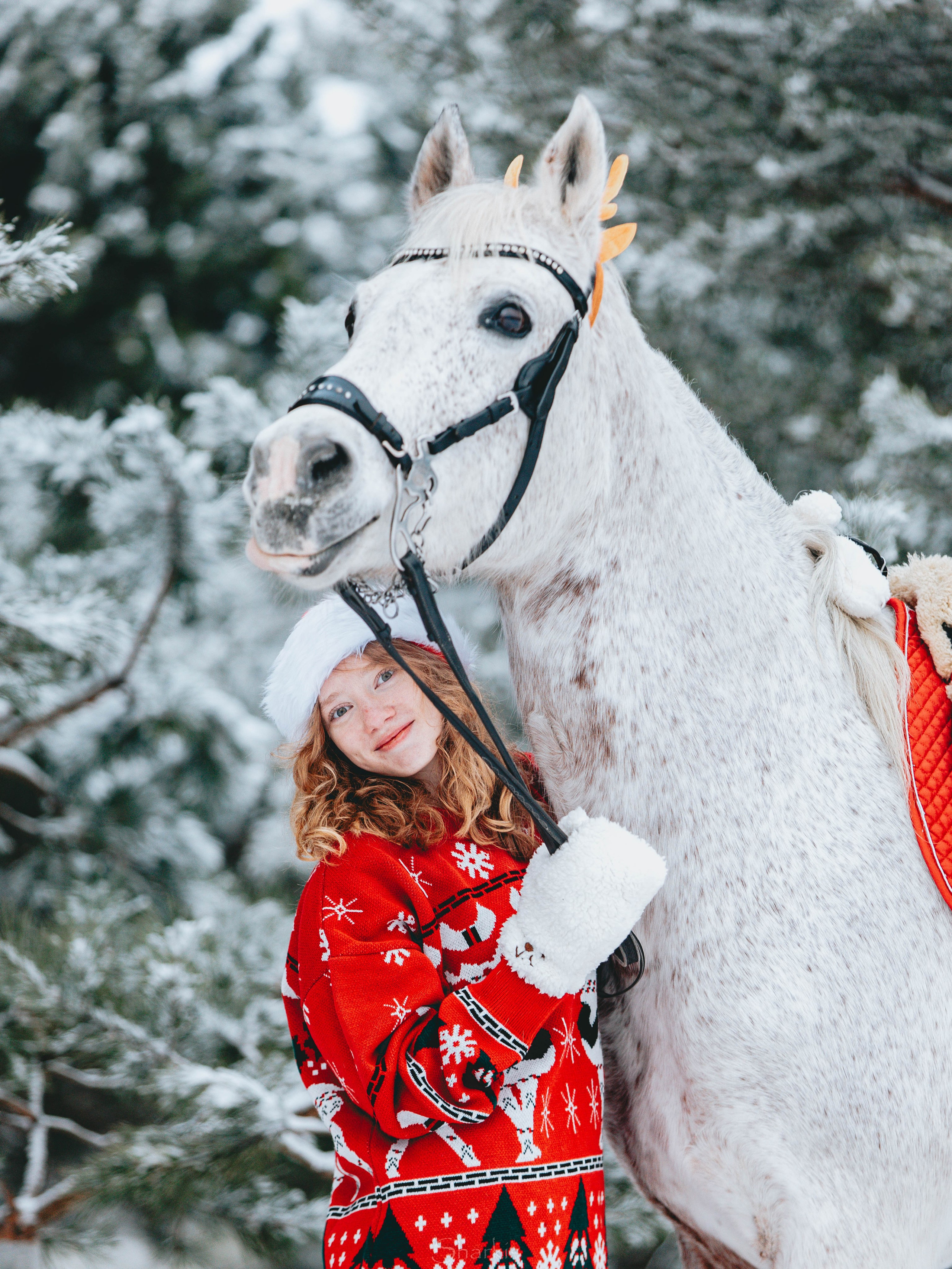 Фото день в ЧК «Орлёнок» — Новый год. Главная