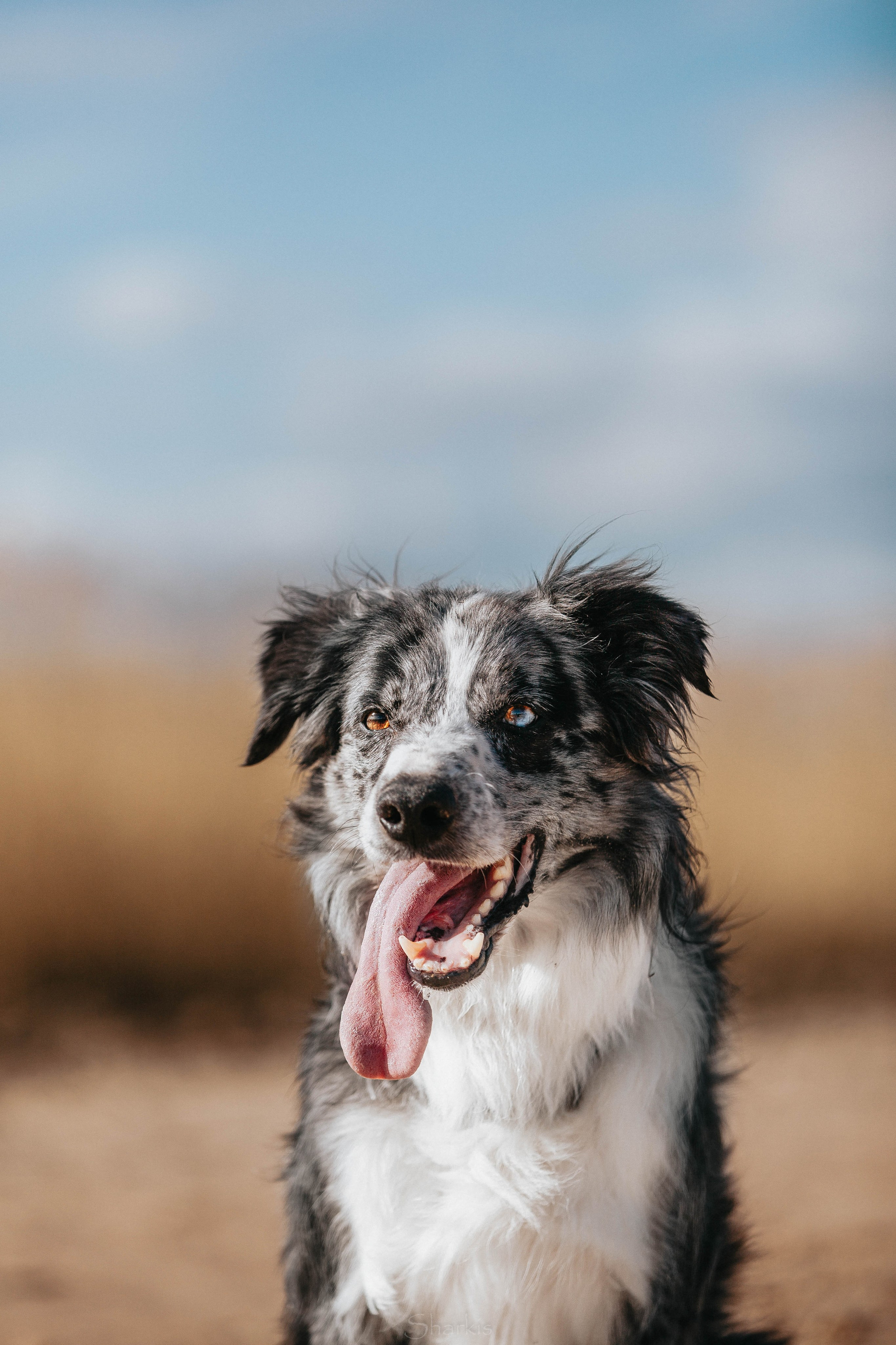 Бордюха, Лора, Берта, Мета. Главная